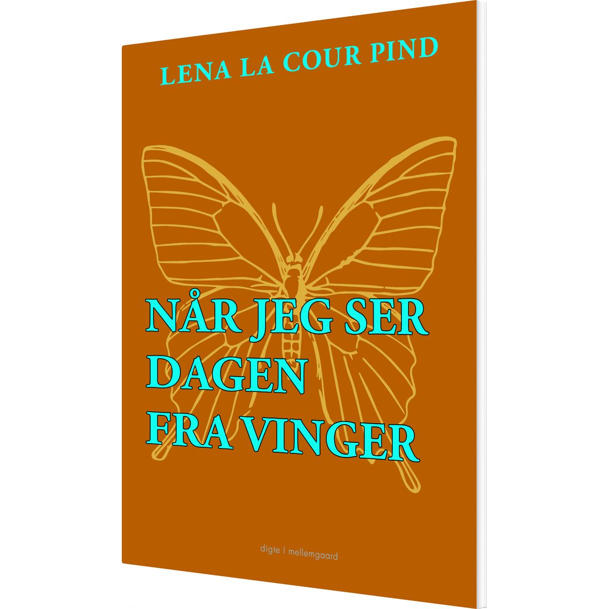 Når Jeg Ser Dagen Fra Vinger - Lena La Cour Pind - Bog