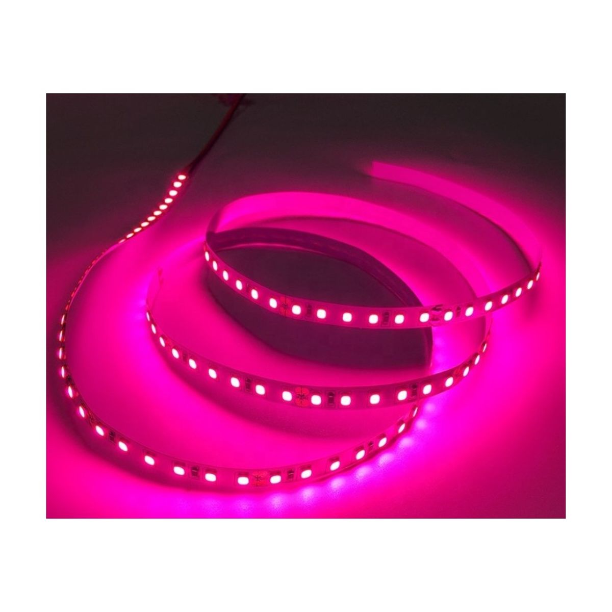 Nær infrarød 730 nm 4,8W/m 12V LED strip - 5m, IP20, 60 LED pr. meter