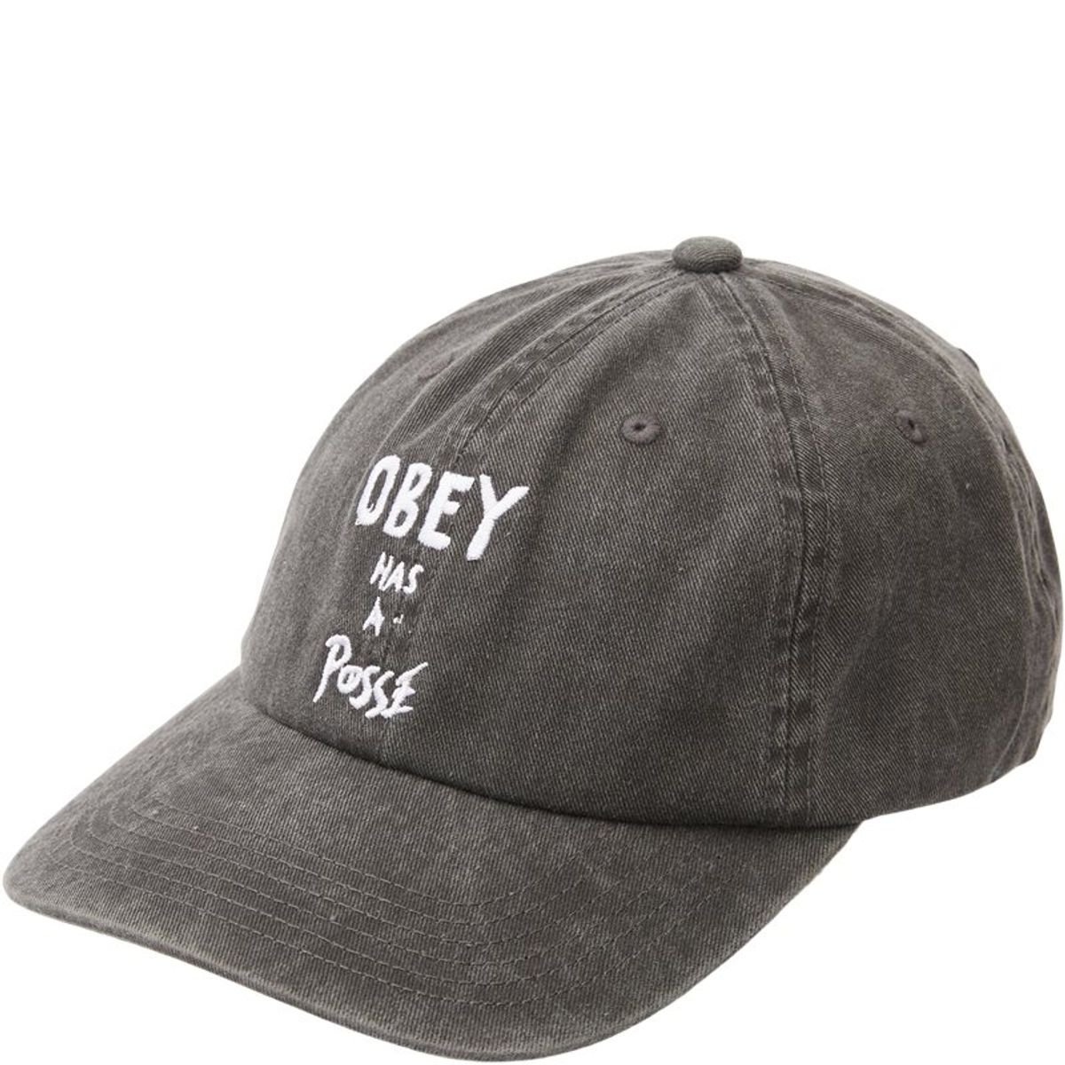 Obey Pigment Posse 6 Panel Cap Sort