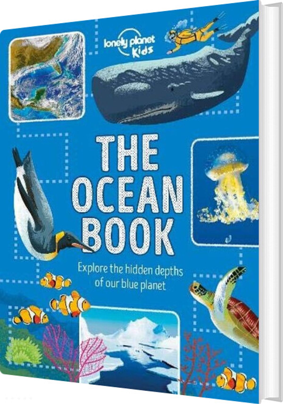 Ocean Book, The: Explore The Hidden Depth Of Our Blue Planet - Diverse - English Book