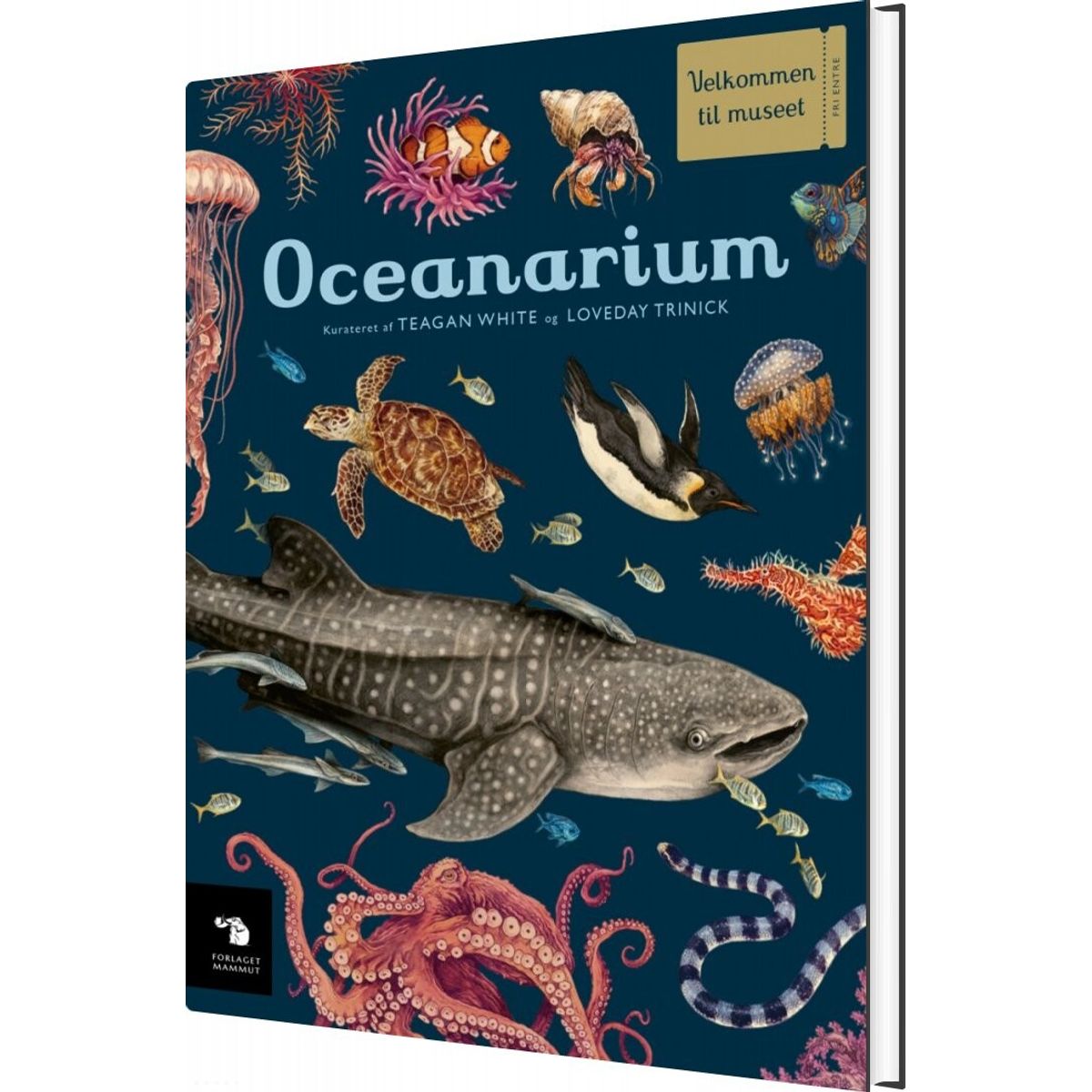 Oceanarium - Teagan White - Bog