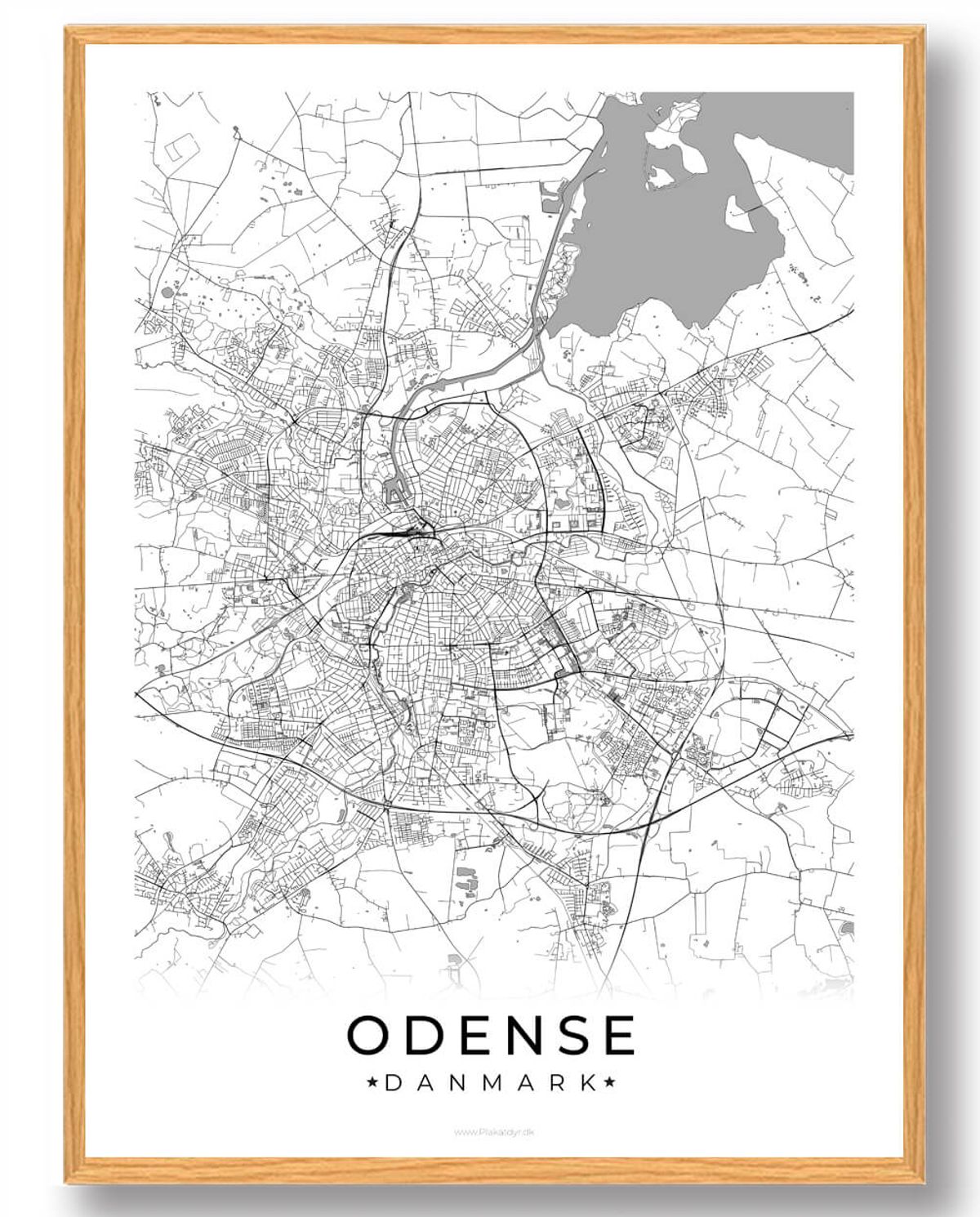 Odense by plakat - hvid (Størrelse: M - 30x40cm)