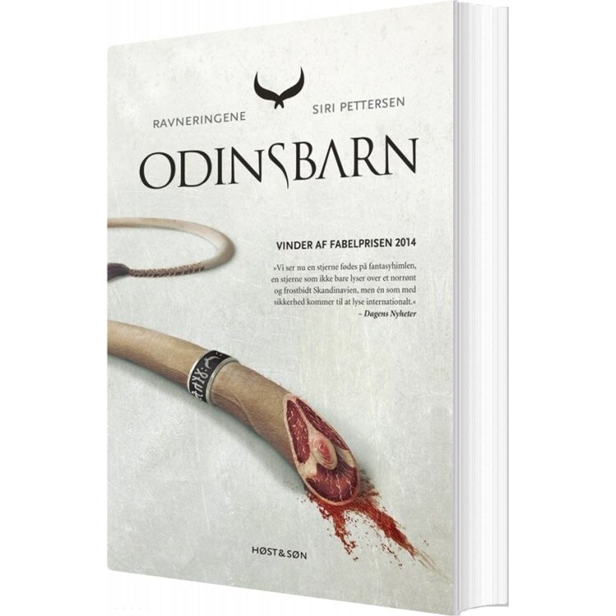 Odinsbarn - Ravneringene 1 - Siri Pettersen - Bog