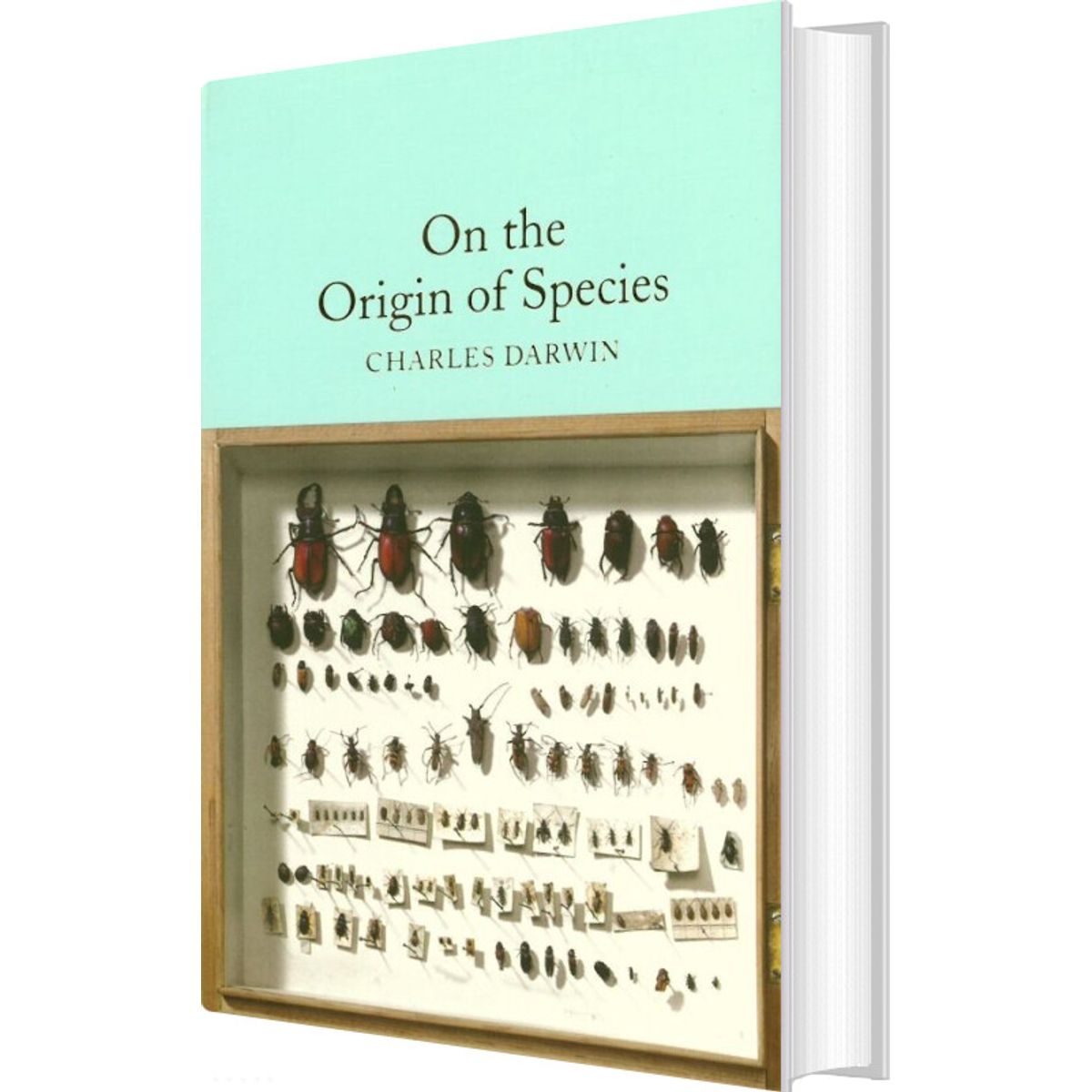 On The Origin Of Species - Charles Darwin - English Book