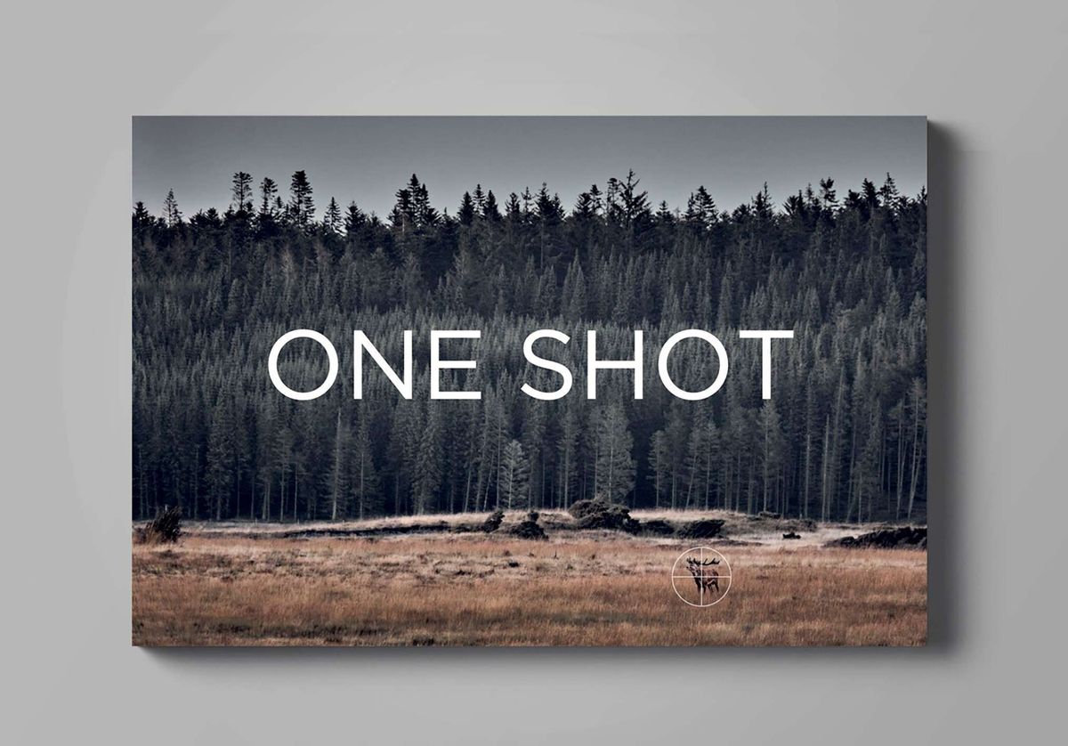 One Shot - Bog