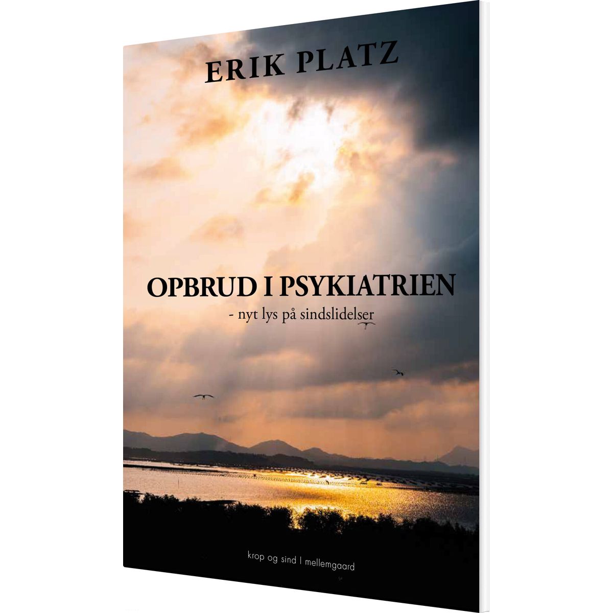 Opbrud I Psykiatrien - Erik Platz - Bog