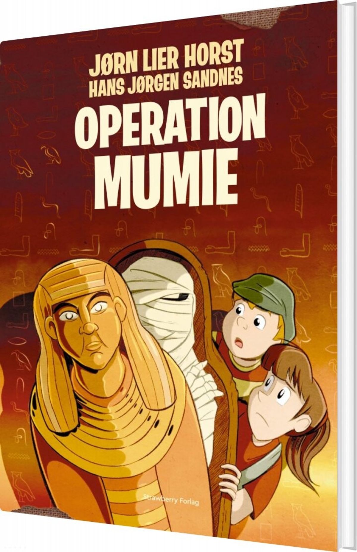 Operation Mumie - Jørn Lier Horst - Bog