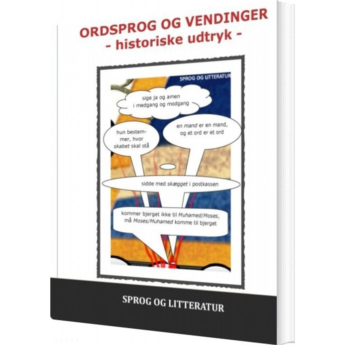 Ordsprog Og Vendinger - Hjørdi Winther Christensen - Bog