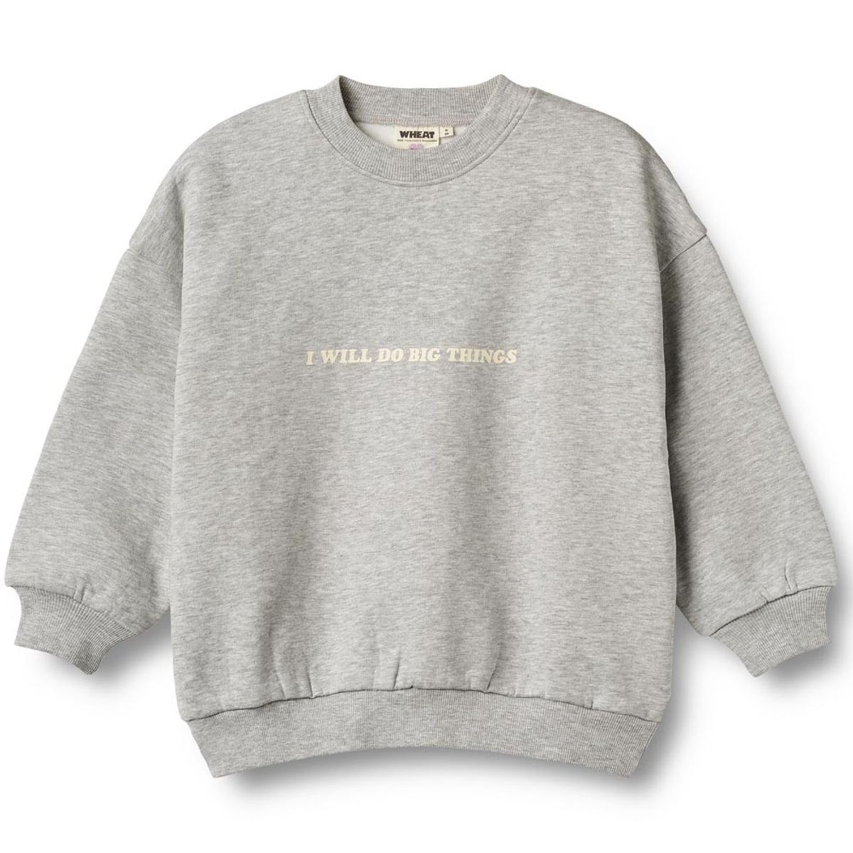 Organic Allo sweatshirt (3 år/98 cm)