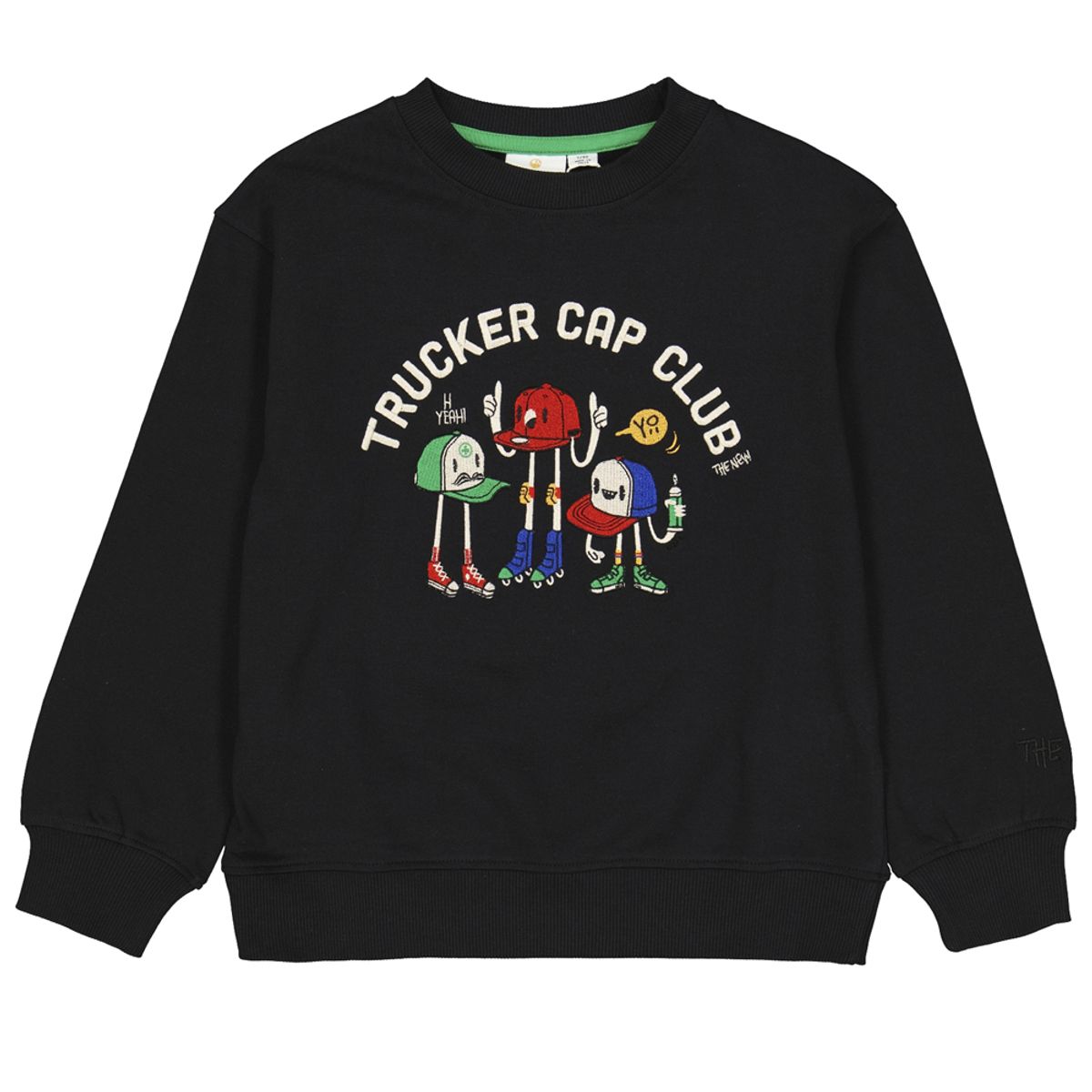 Organic TNJasper sweatshirt (11-12 år)