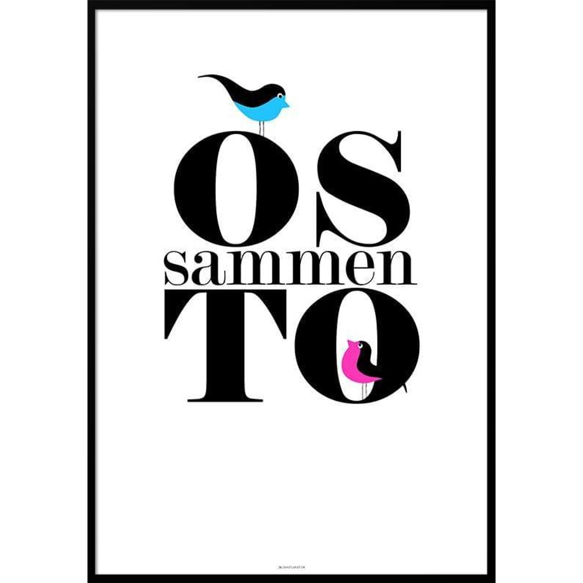 Os to sammen - Birds plakat