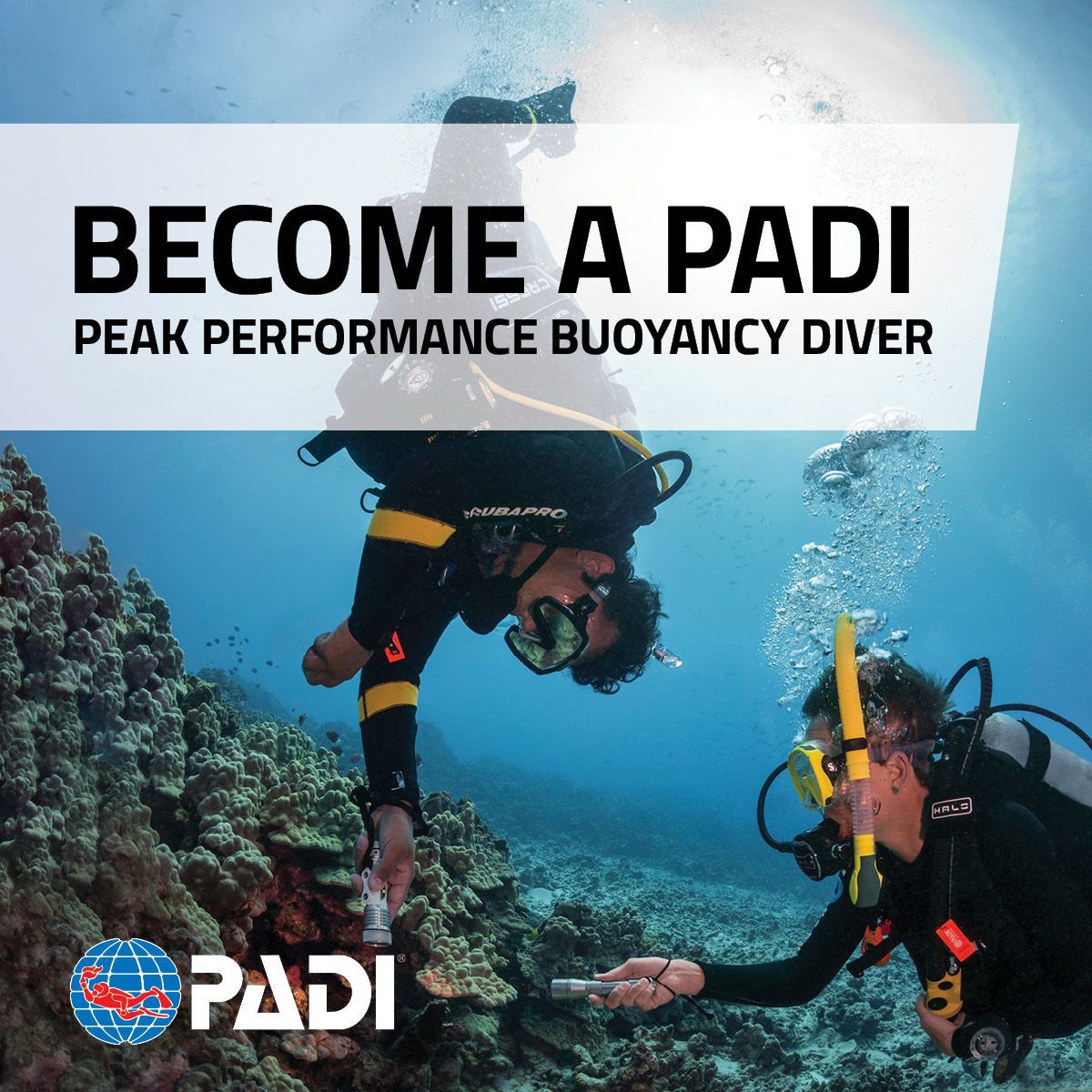 PADI Peak Performance Kursus