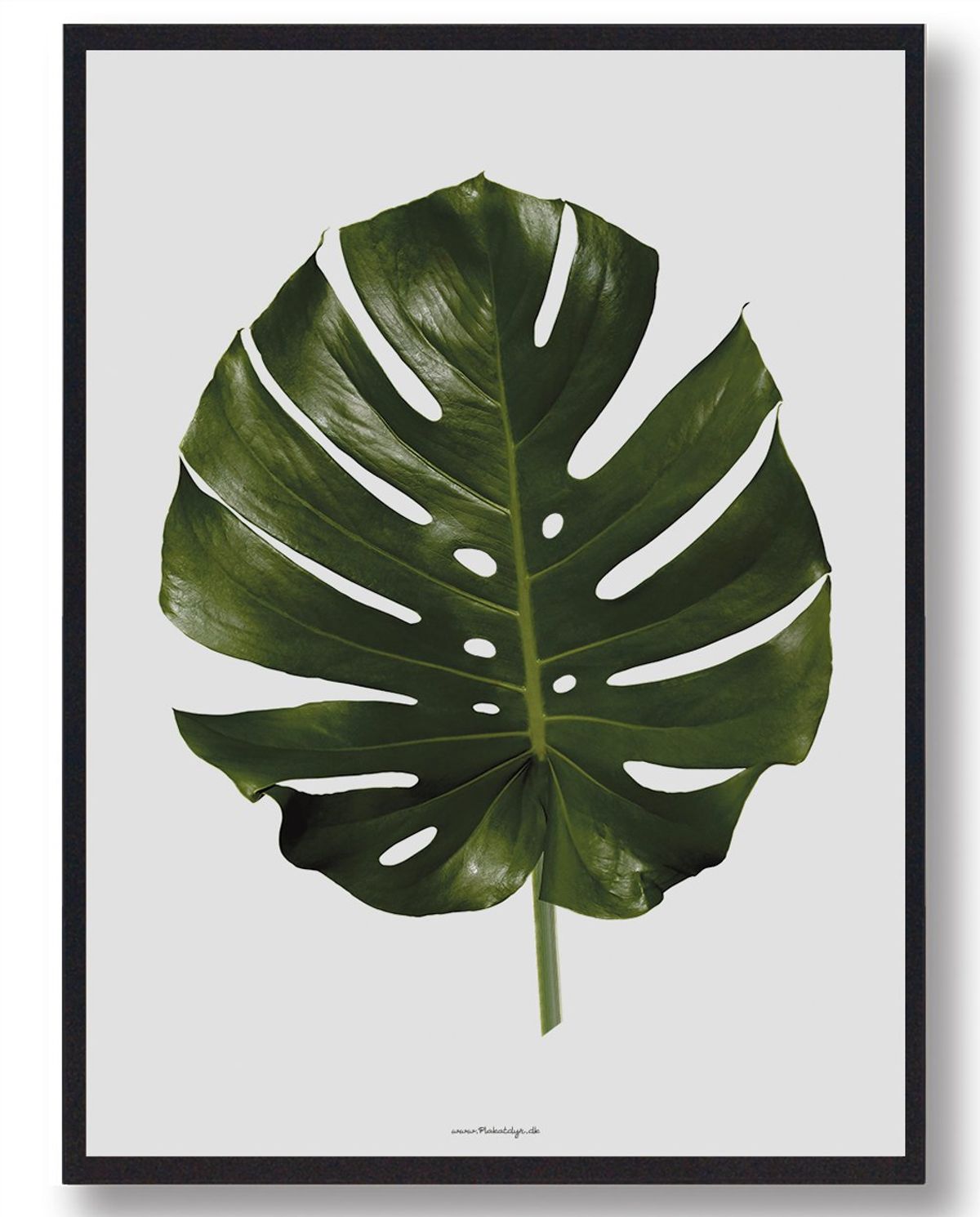 Palm leave - naturplakat (Størrelse: L - 50x70cm (B2))