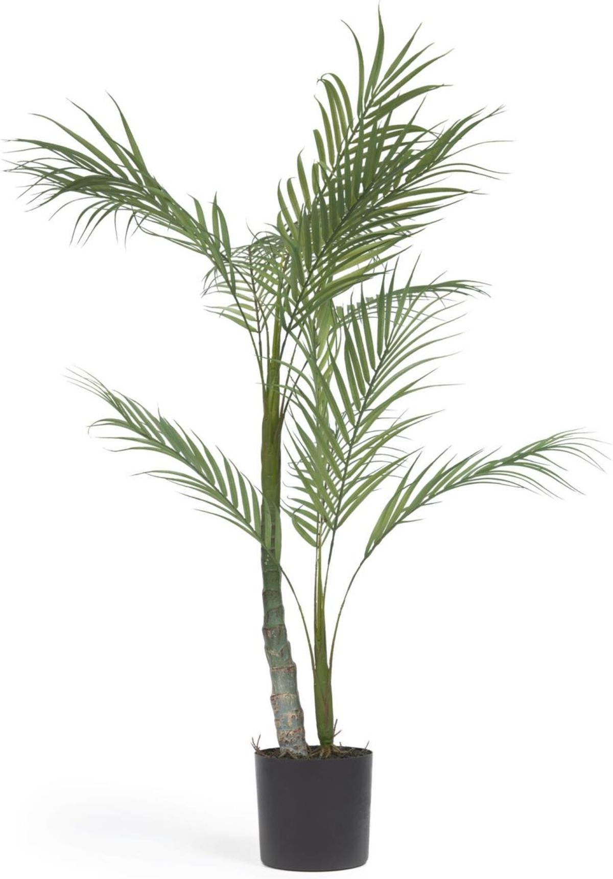 Palmera, Kunstig plante, sort, H70x70x60 cm