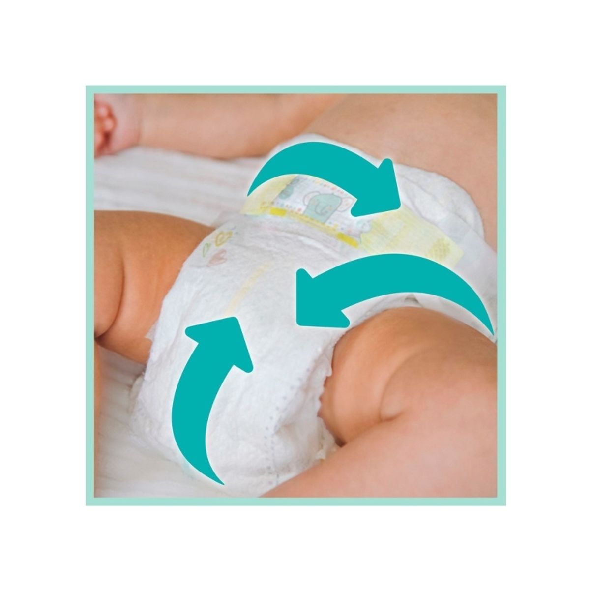 Pampers Premium Care Bleer 4-8 Kg, Str. 2-Mini, 224 Stk