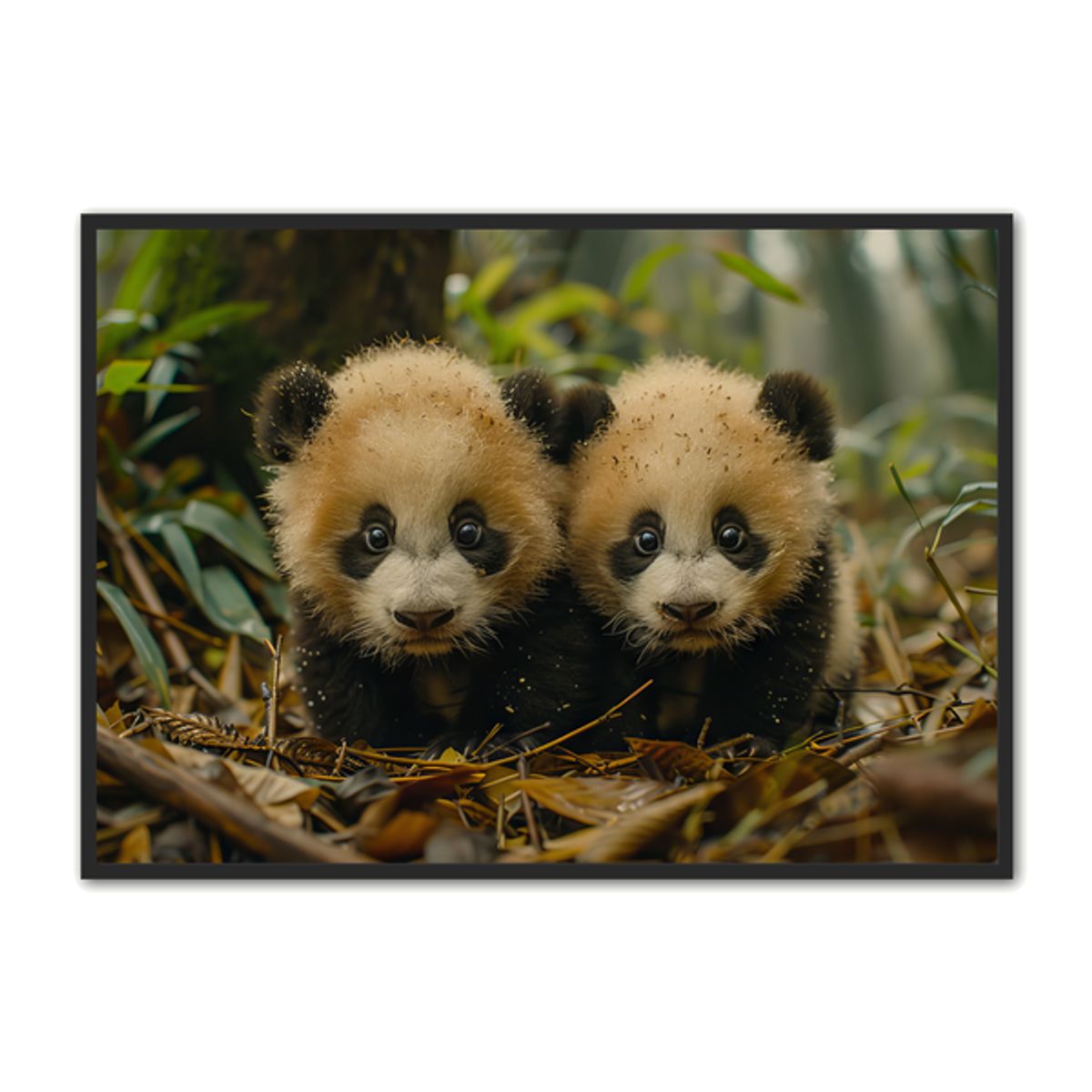 Panda Plakat 82 - Børneplakat