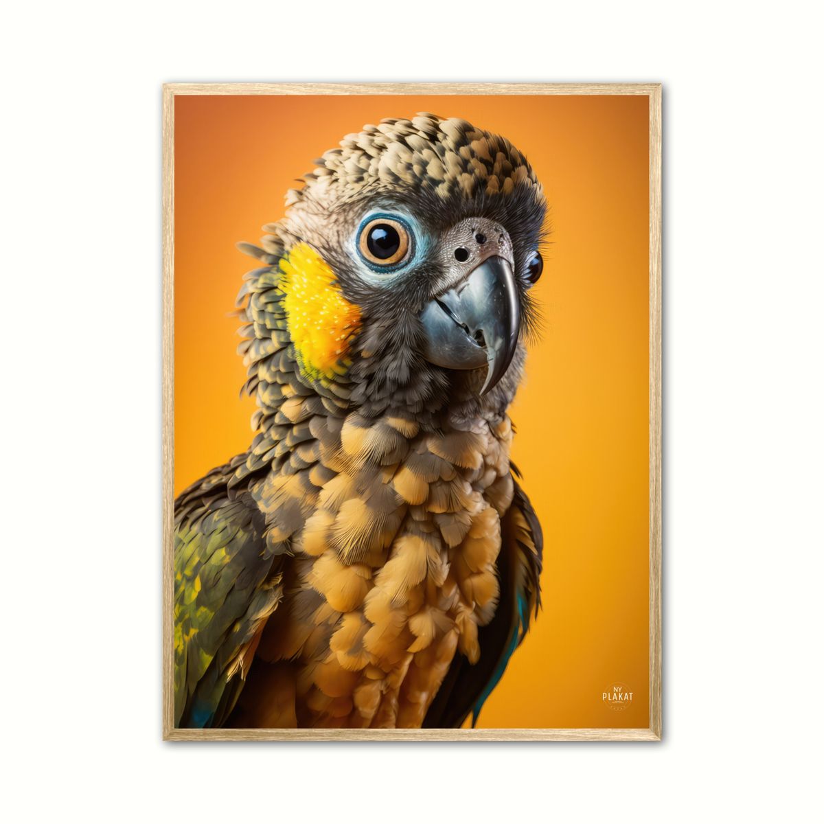 Papegje plakat - Gul 2 30 x 40 cm