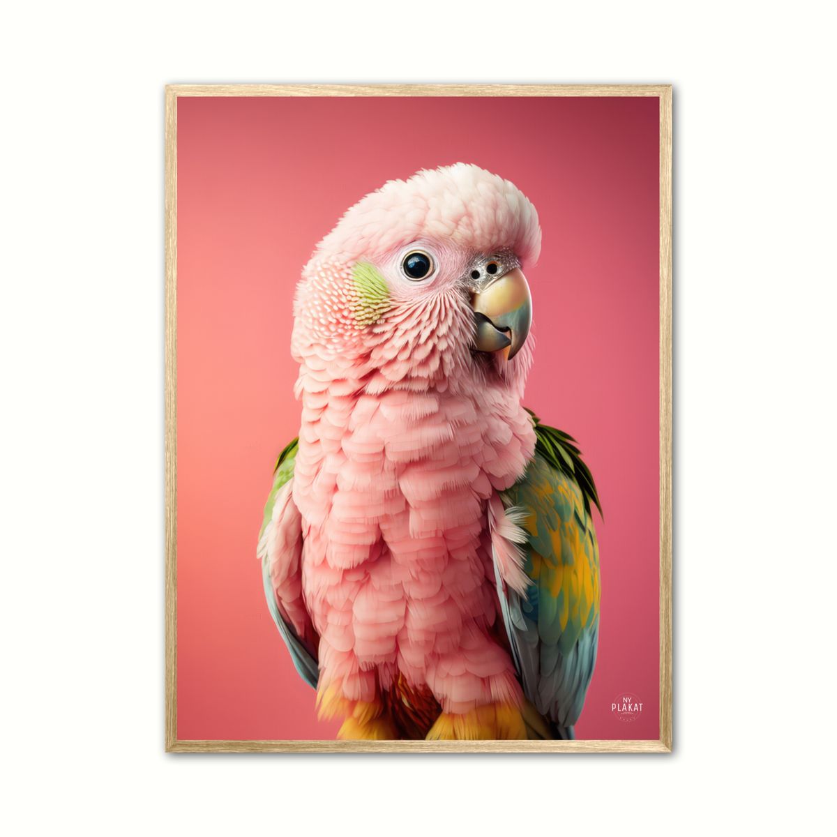 Papegje plakat - Pink 2 50 x 70 cm (B2)