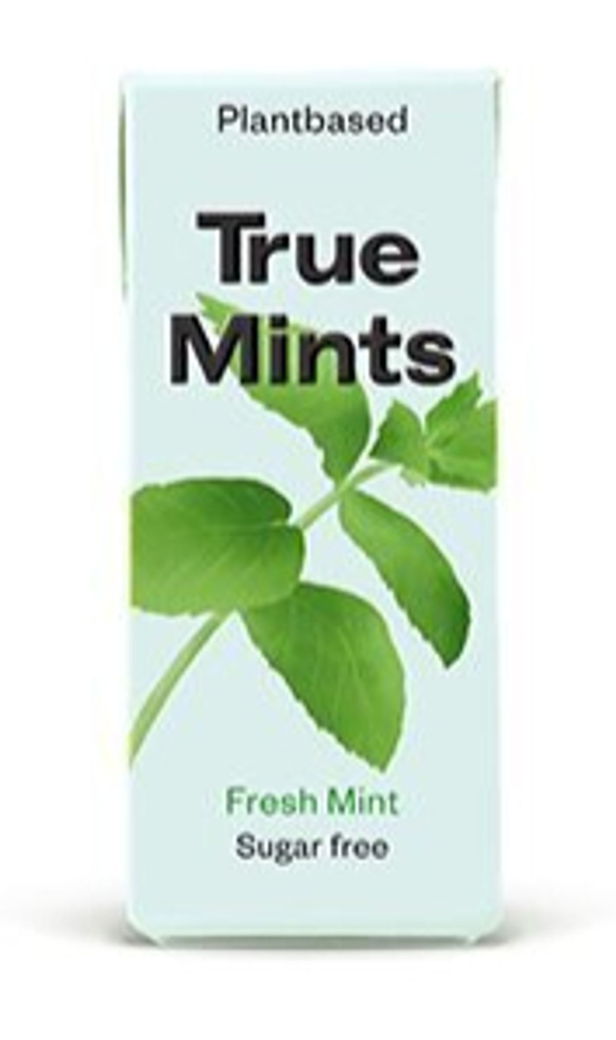 Pastiller Fresh Mint True Mints, 13 gr