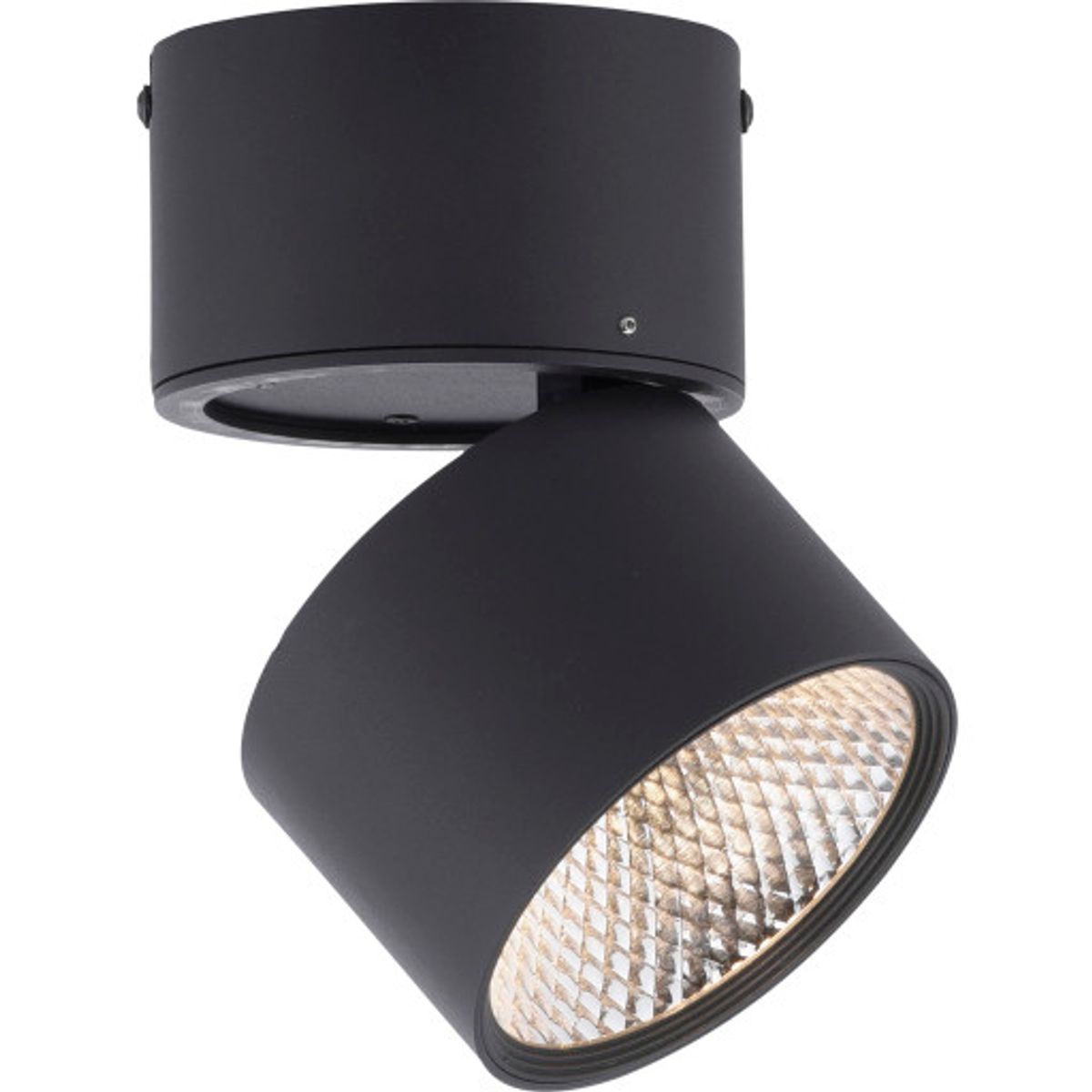 Paul Neuhaus Pure Nola spotlampe