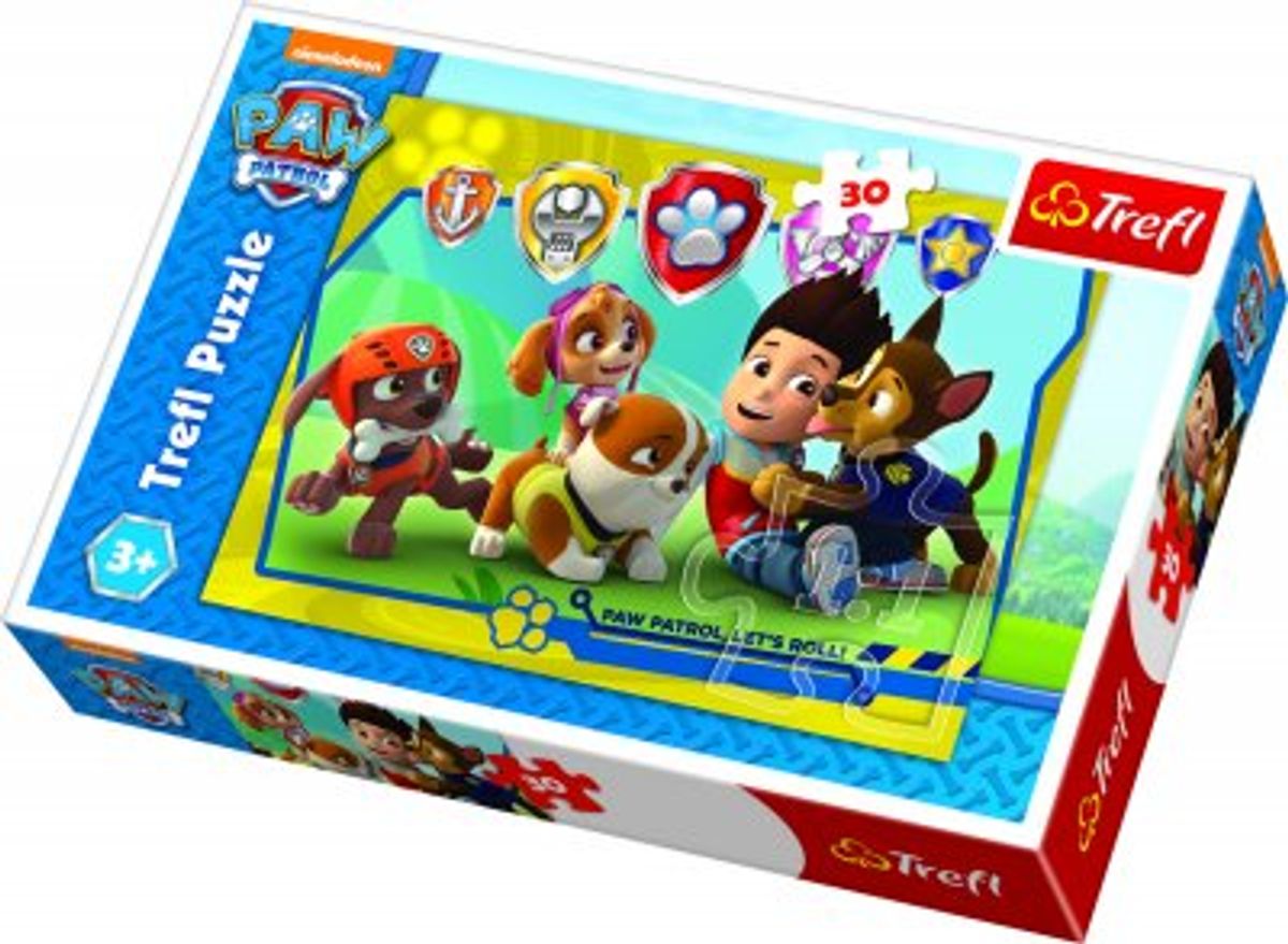 Paw Patrol, 30 brikker