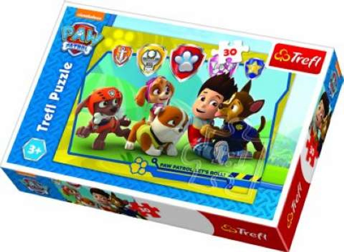 Paw Patrol, 30 brikker