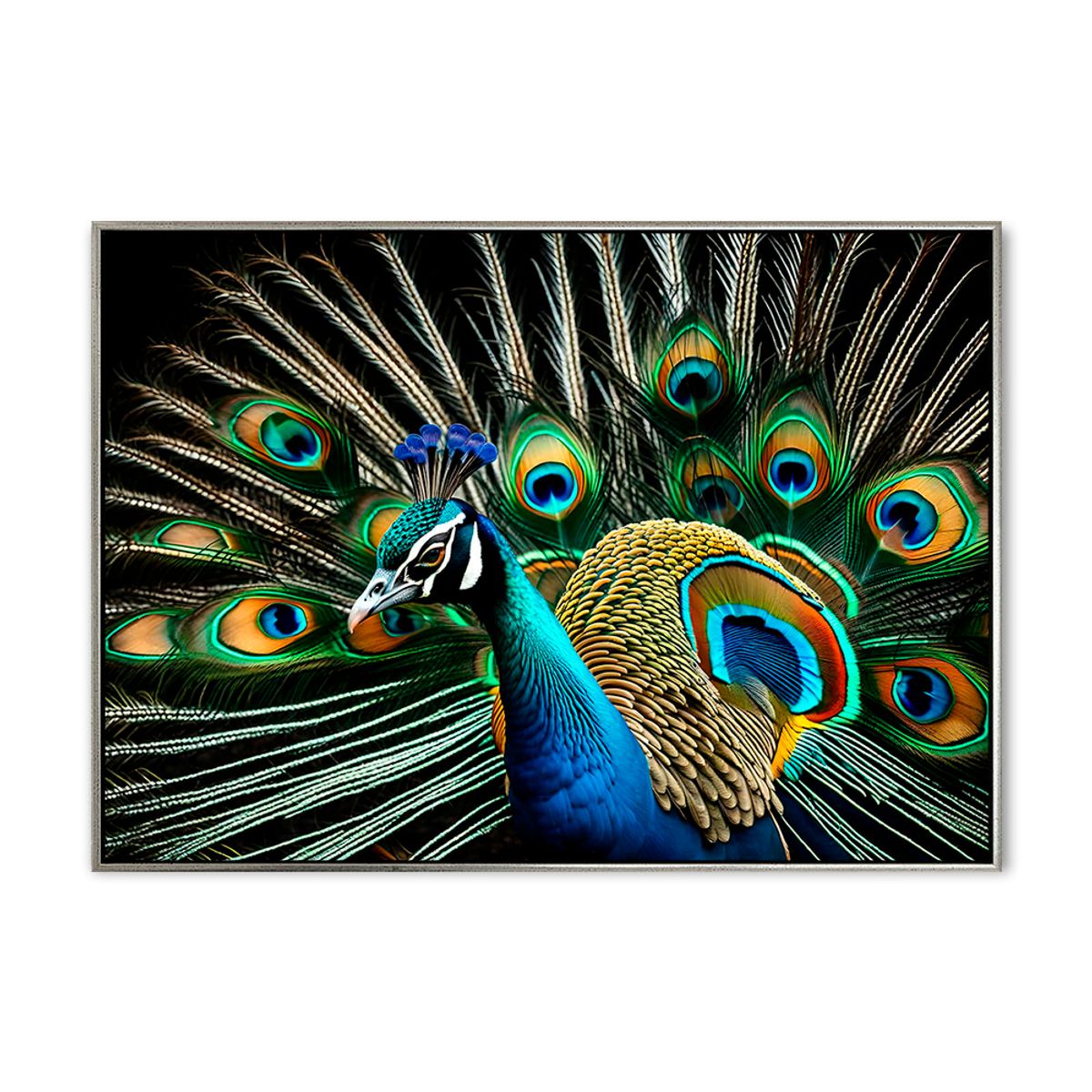 Peacock 02 - 70x100 cm - Sølv svæveramme