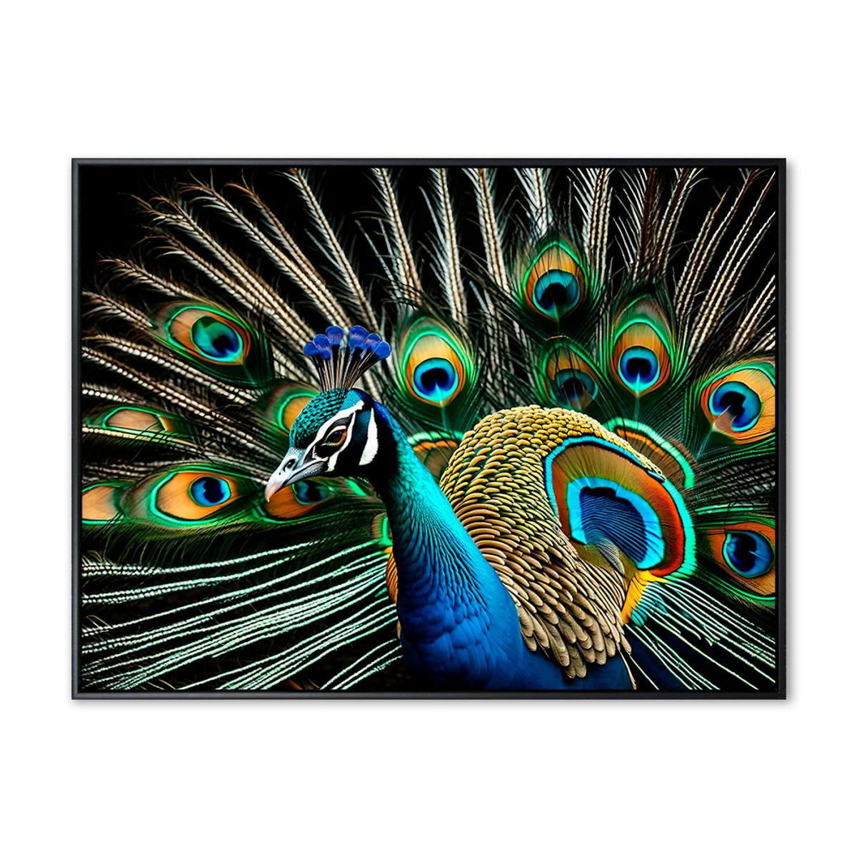 Peacock 02 - 90x120 cm - Sort svæveramme