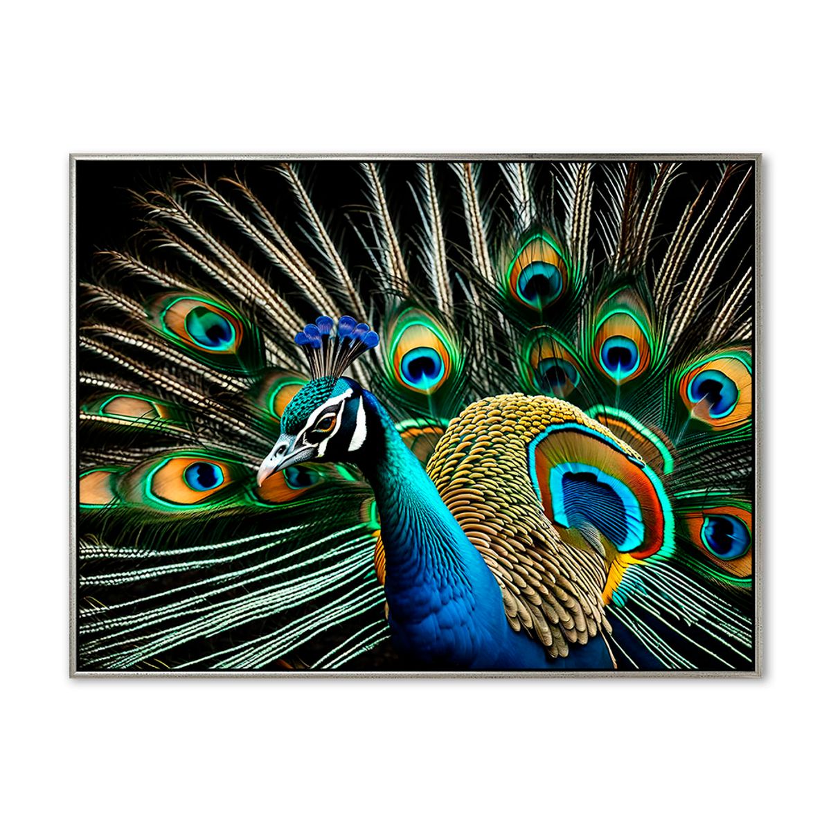 Peacock 02 - 90x120 cm - Sølv svæveramme