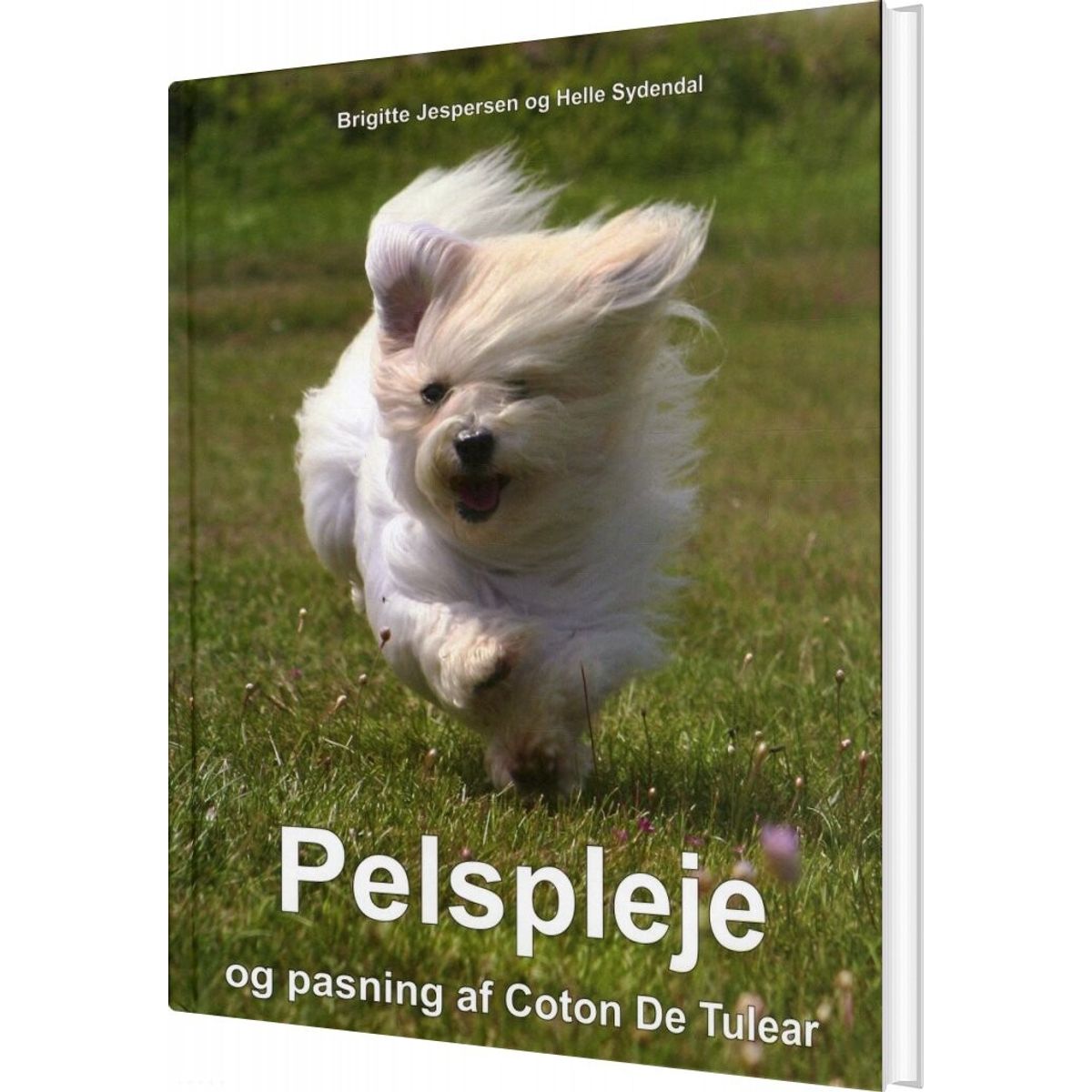 Pelspleje Og Pasning Af Coton De Tulear - Helle Sydendal - Bog