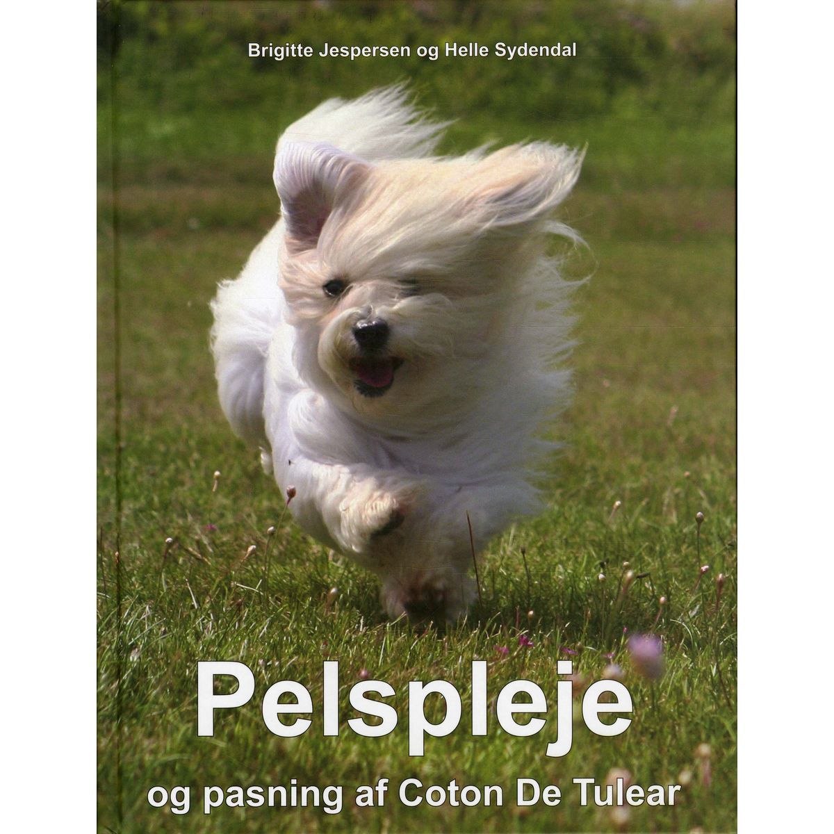 Pelspleje og pasning af Coton De Tulear