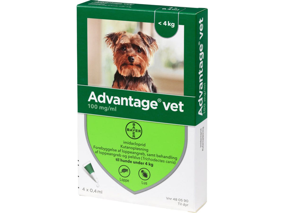 Pharmaservice - Advantage loppemiddel til hund 0-4 kg 4 pipetter - Bekæmpelse af lopper og flåter - Alt til Hunden