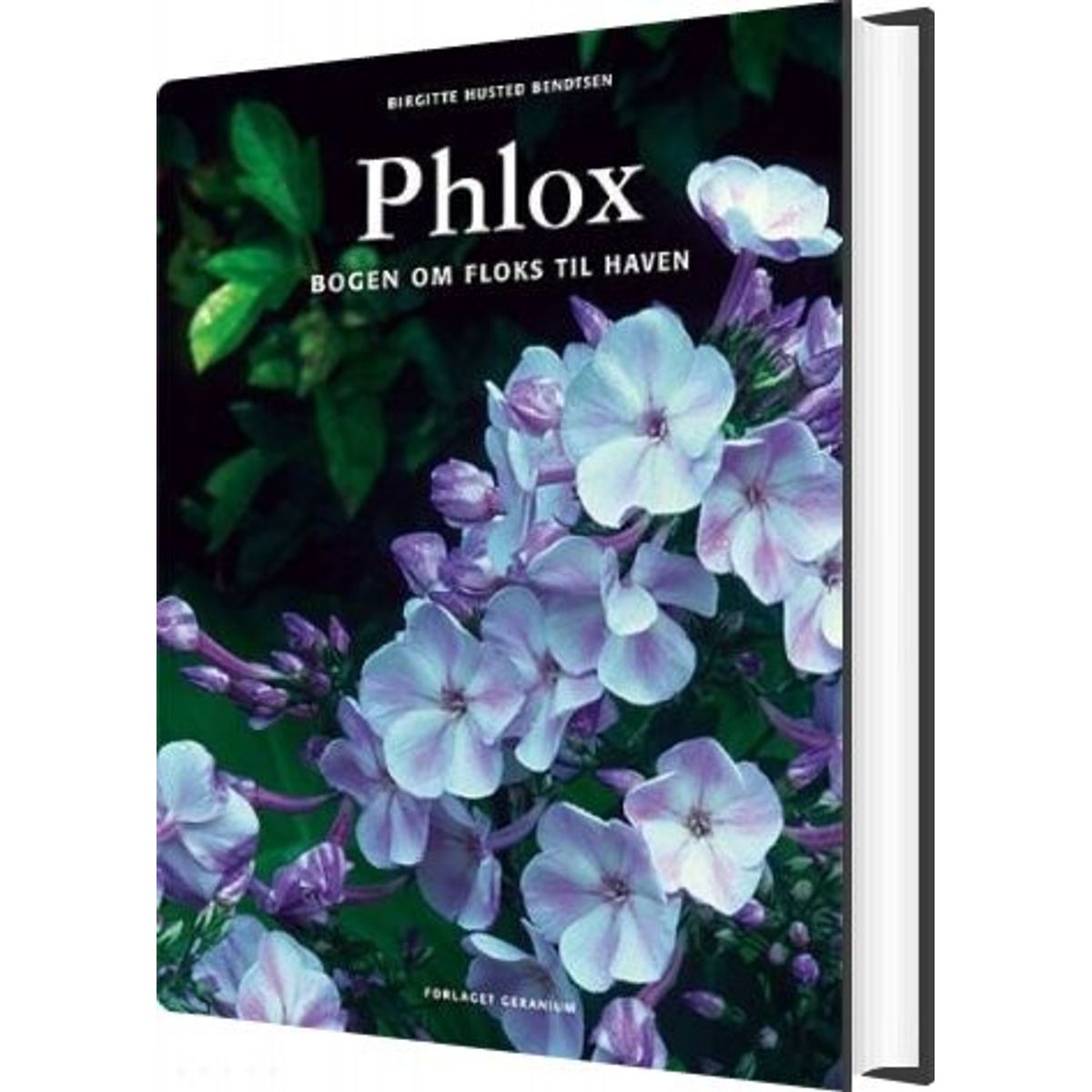 Phlox - Birgitte Husted Bendtsen - Bog