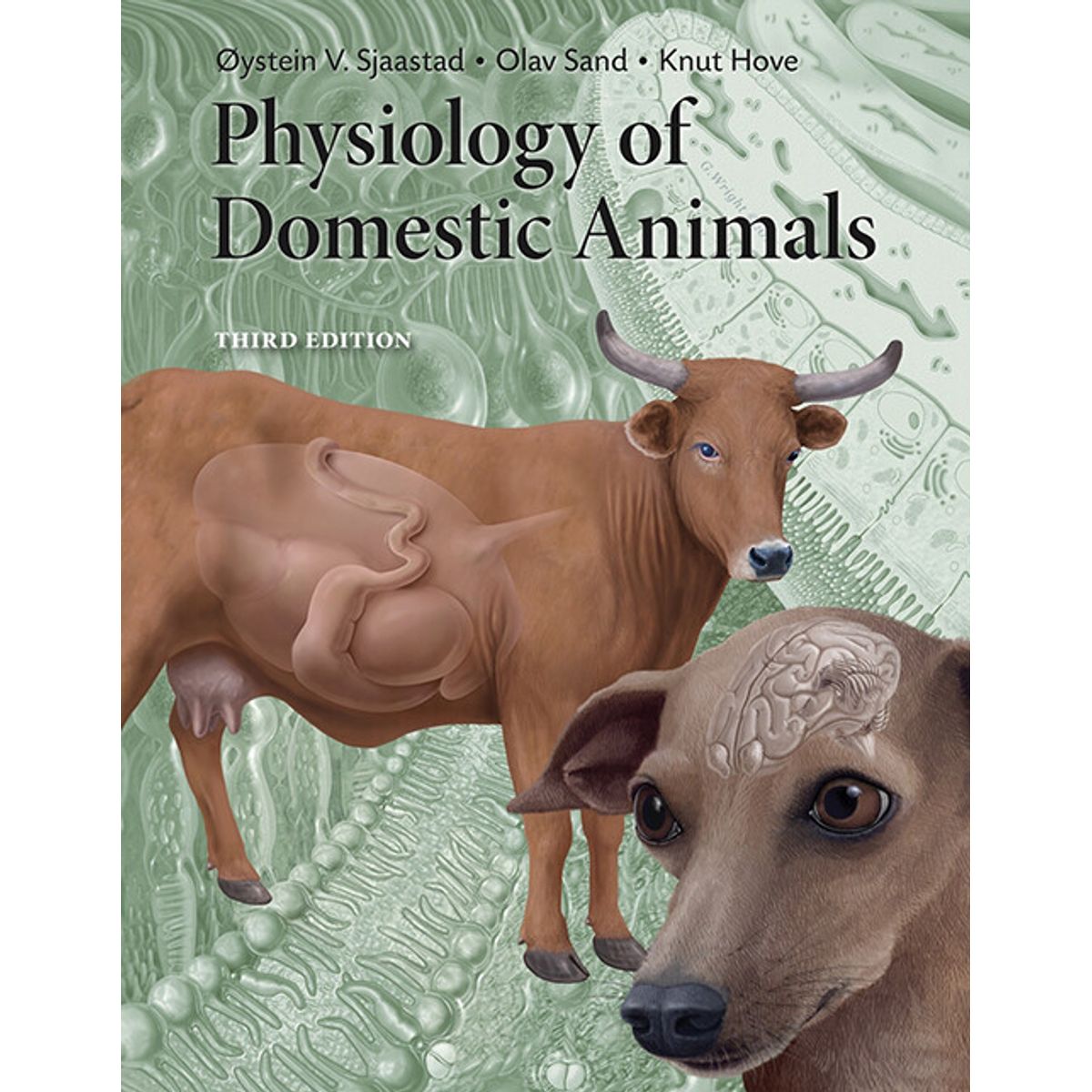 Physiology Of Domestic Animals - Olav Sand - English Book