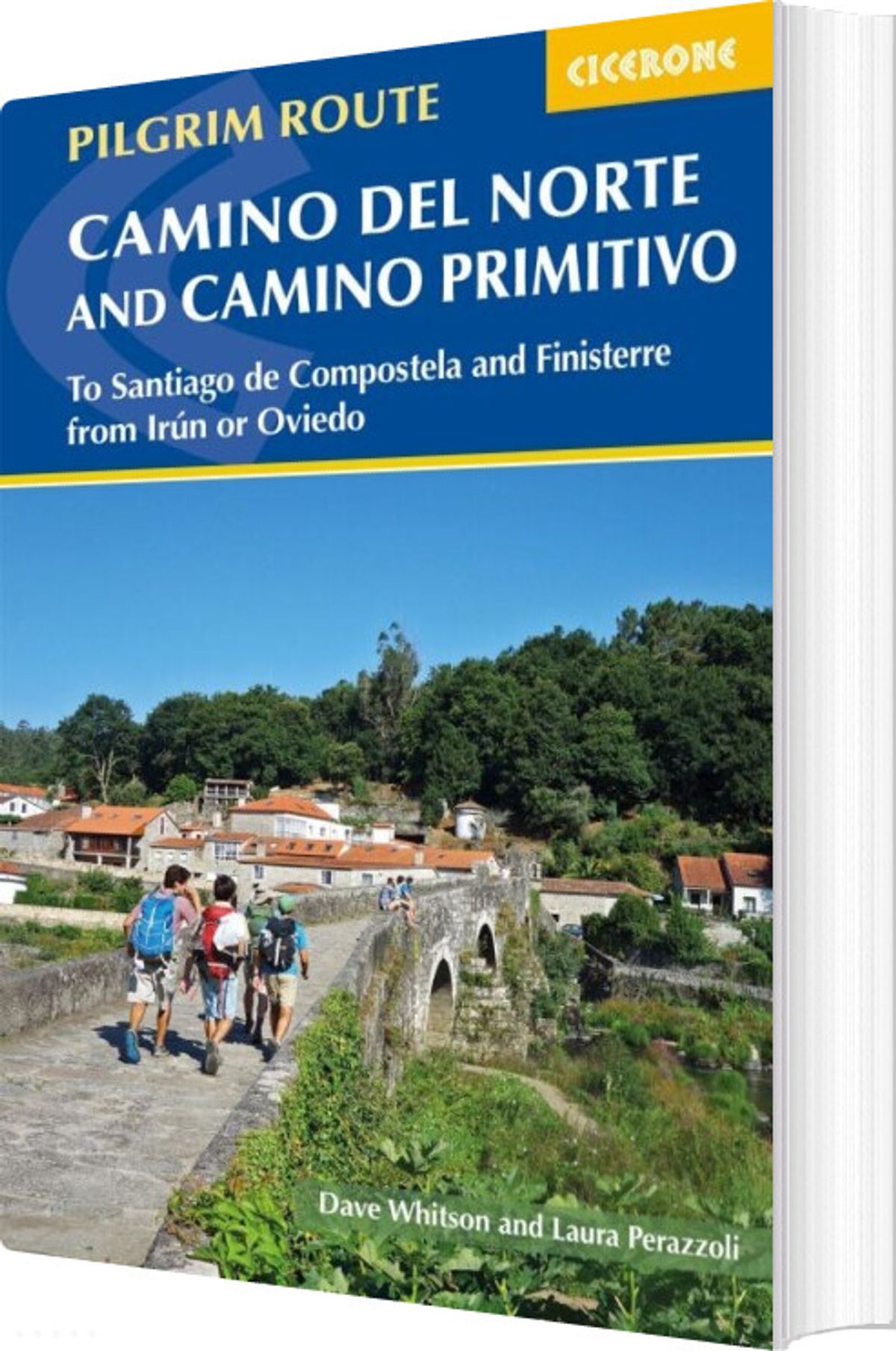 Pilgrim Route - The Camino Del Norte And Camino Primitivo - Dave Whitson - English Book