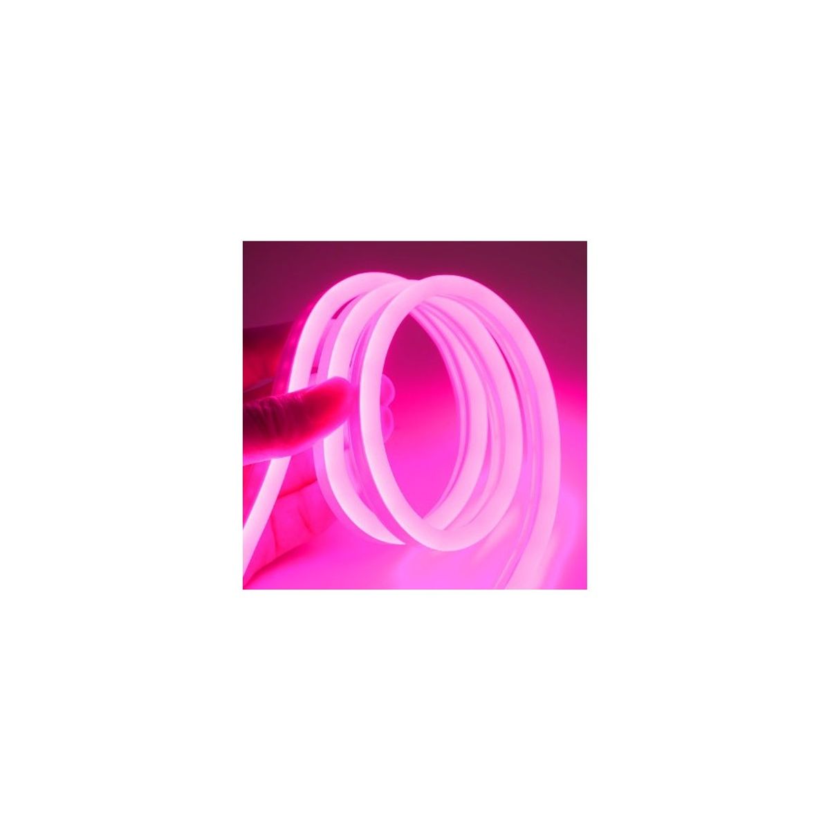 Pink 8x16 Neon Flex LED - 5 meter, 8W pr. meter, IP67, 12V