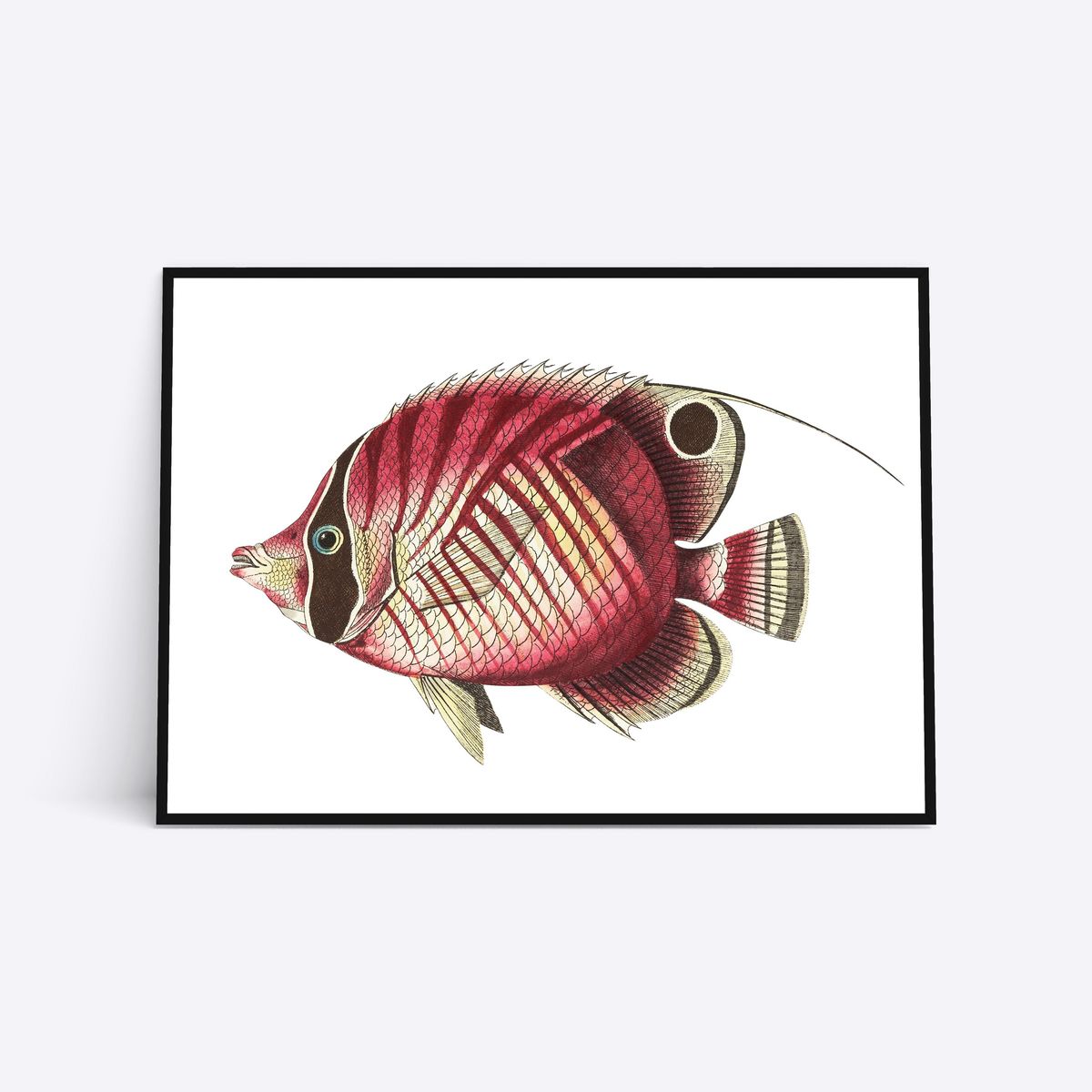 Pink Fish - 30x40 cm