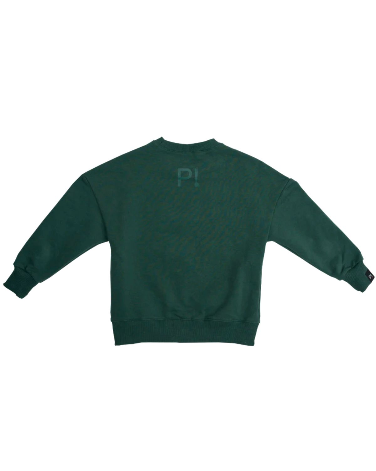 Plaein sweatshirt, Plaein, grøn - 110 - 5år