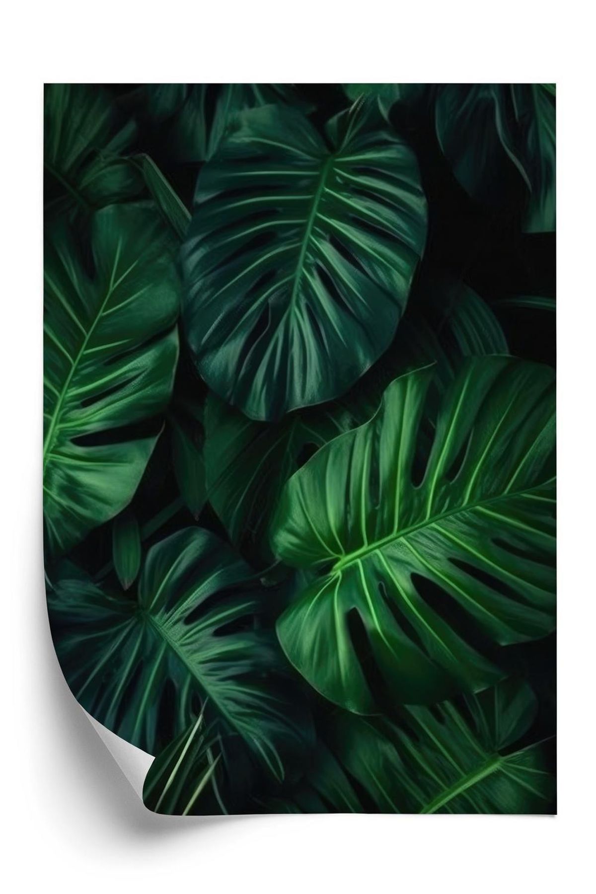 Plakat - Botanisk mønster af mørkegrønne monstera-Blade