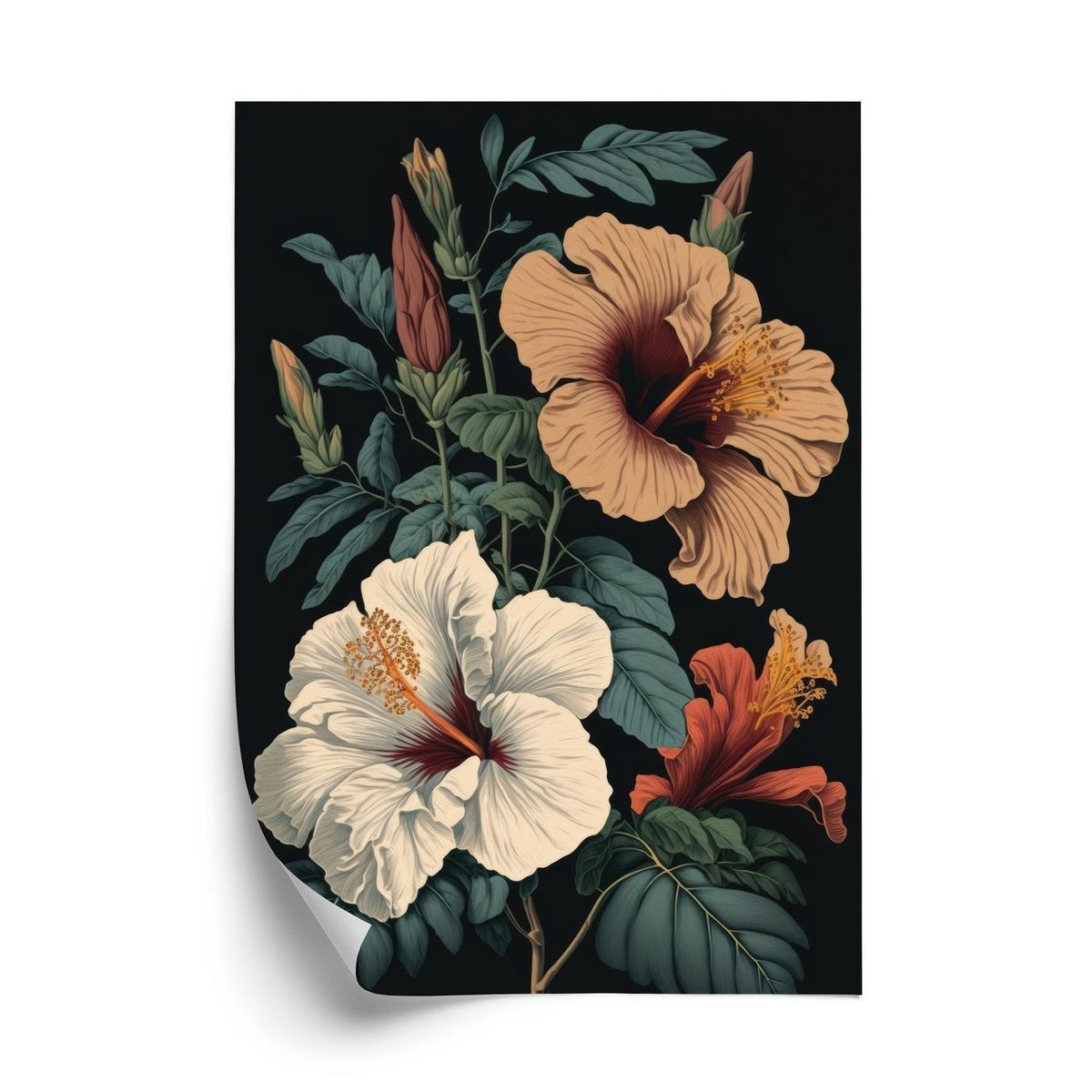 Plakat - Hibiscus blomster og grønne blade