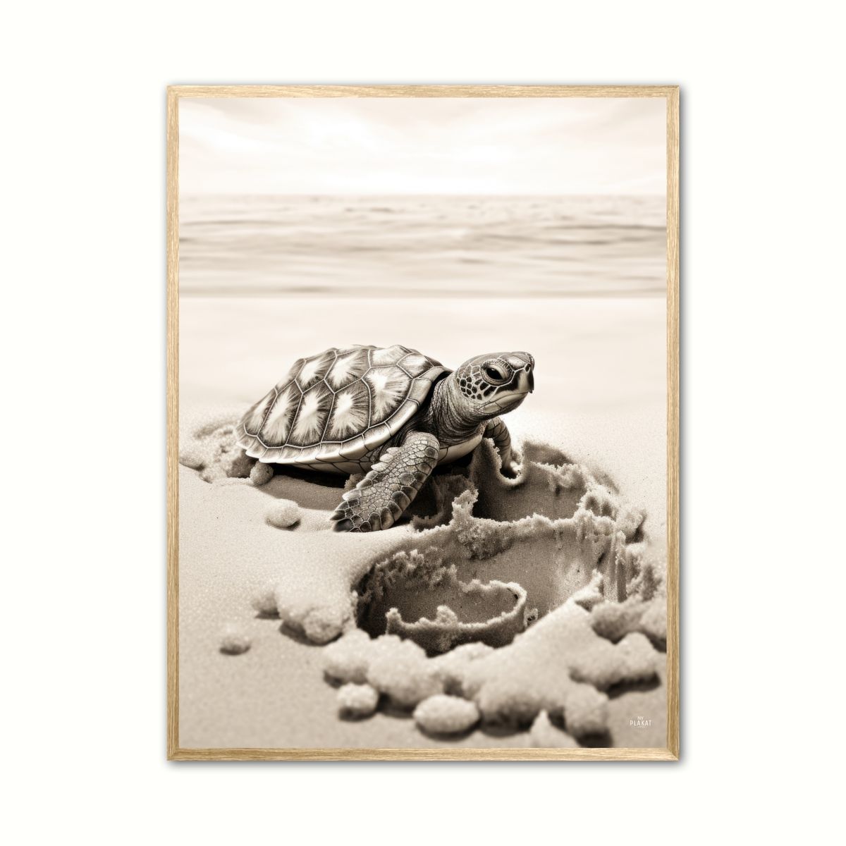 Plakat med Skildpadde Plakat 6 21 x 29,7 cm (A4)