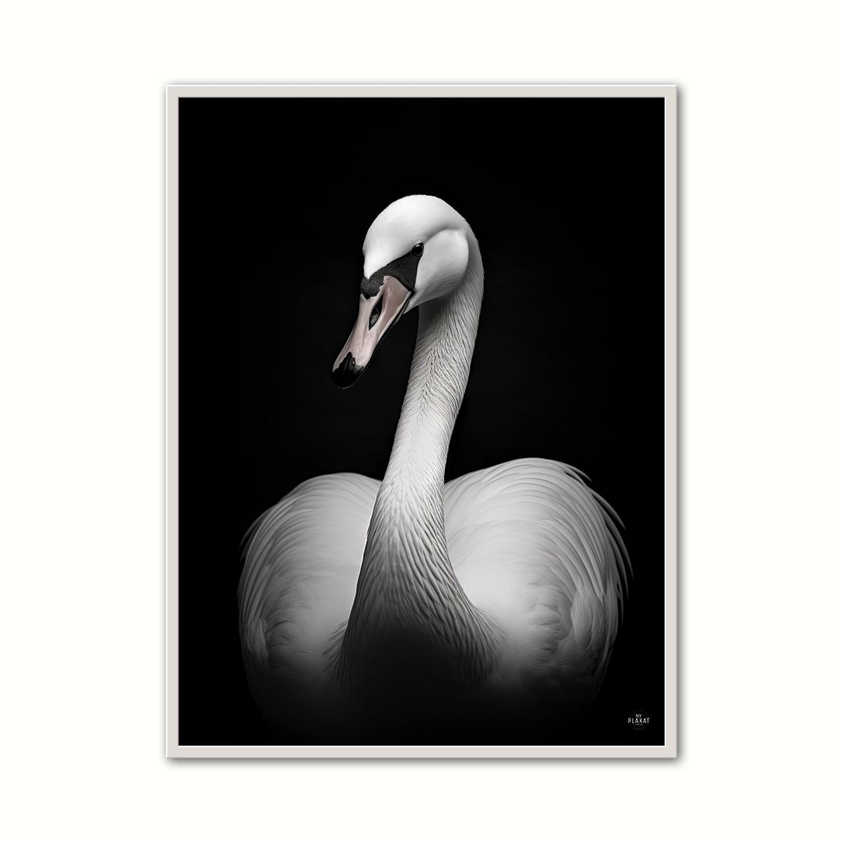 Plakat med Svane Plakat 6 50 x 70 cm (B2)