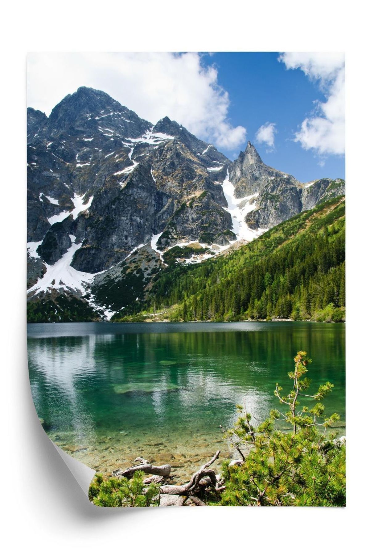 Plakat - Morskie oko i de polske tatrabjerge