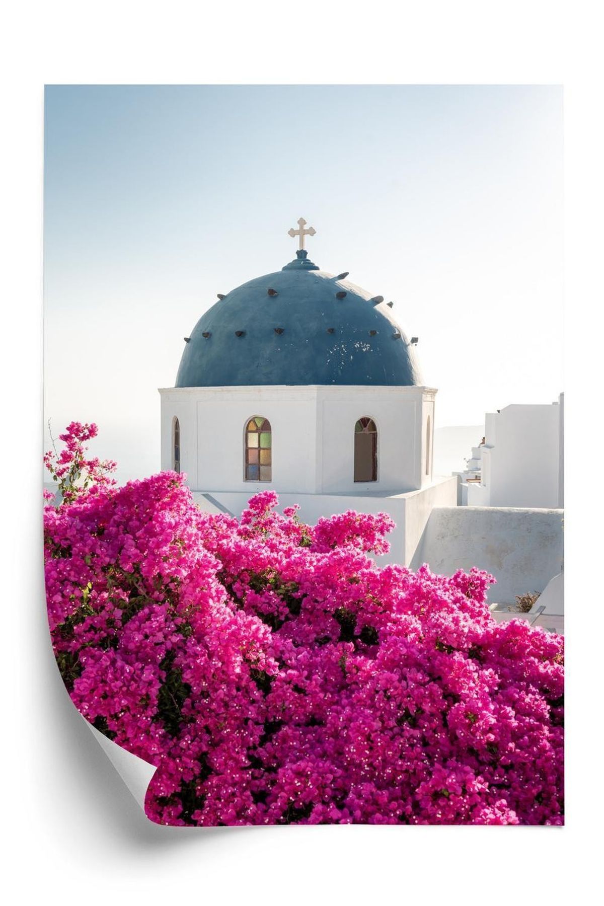 Plakat - Typisk santorini-Arkitektur og blomstrende bougainvillea