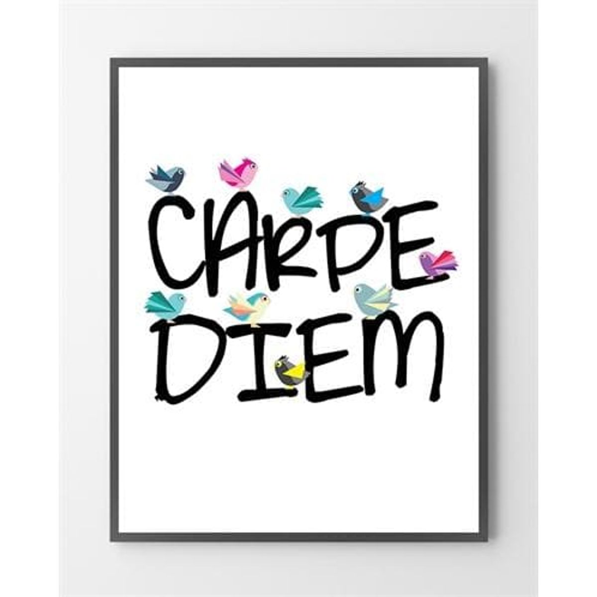 Plakater - Carpe Diem - 30x40 cm.