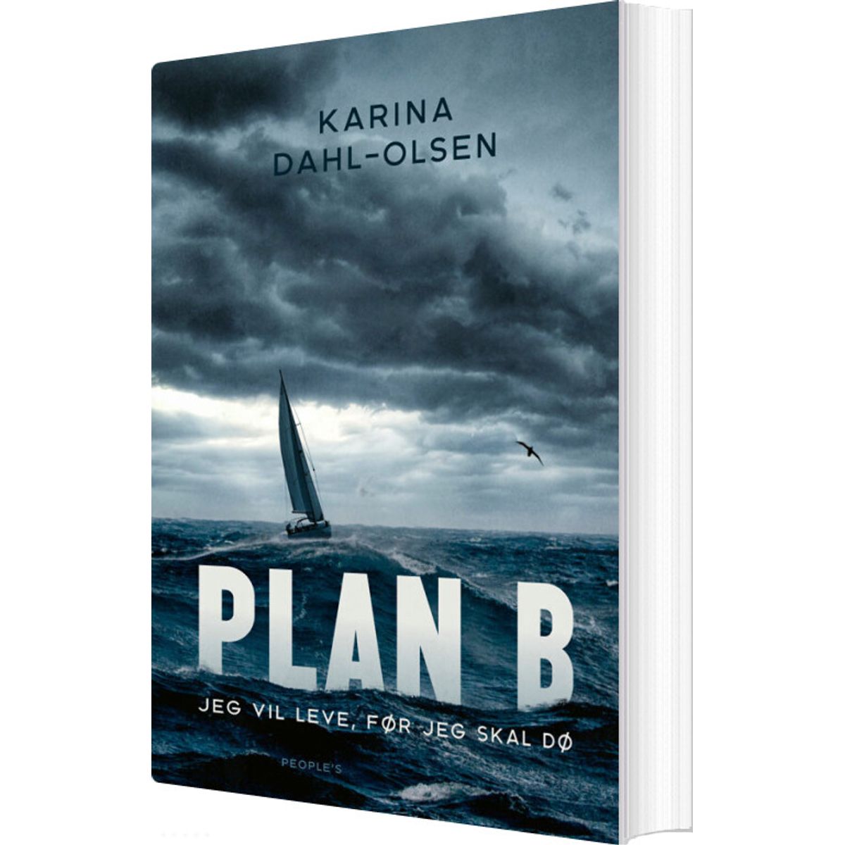 Plan B - Karina Dahl-olsen - Bog