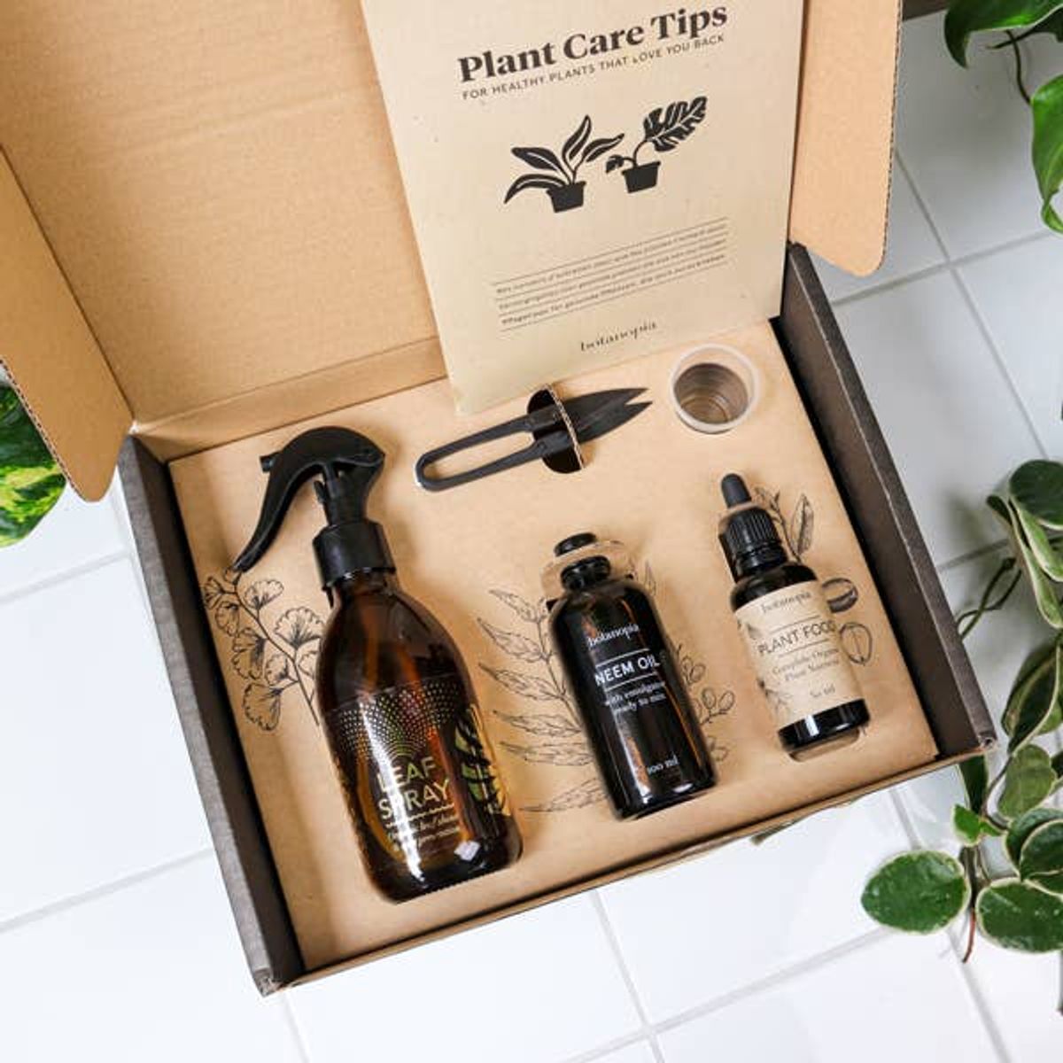 PLANT CARE KIT TIL POTTEPLANTER - BOTANOPIA - spireskål - Botanopia - StudioBuus