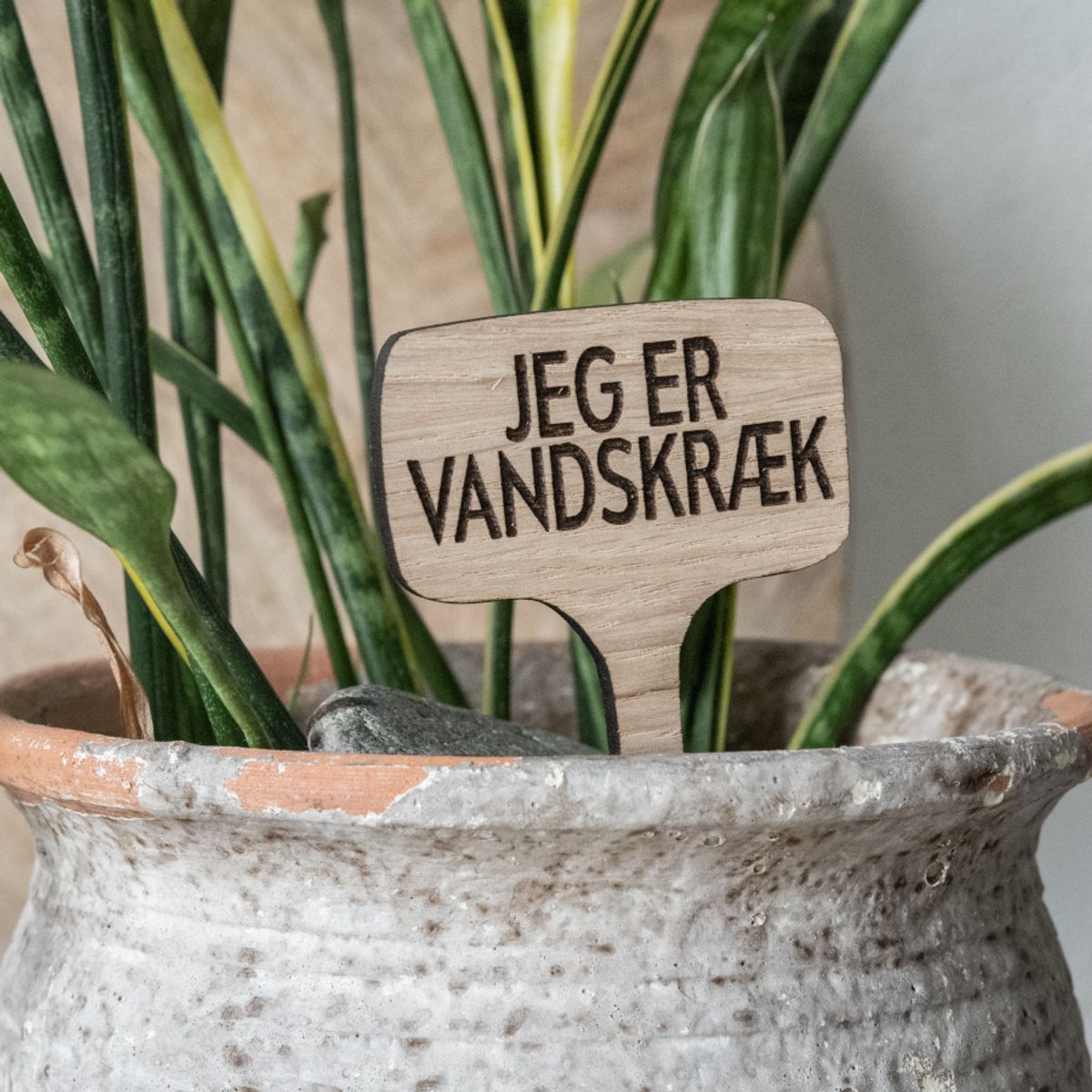 Plante sticks Eg Jeg er vandskræk - BOLIGEN > PLANTESKILTE - Living Nature