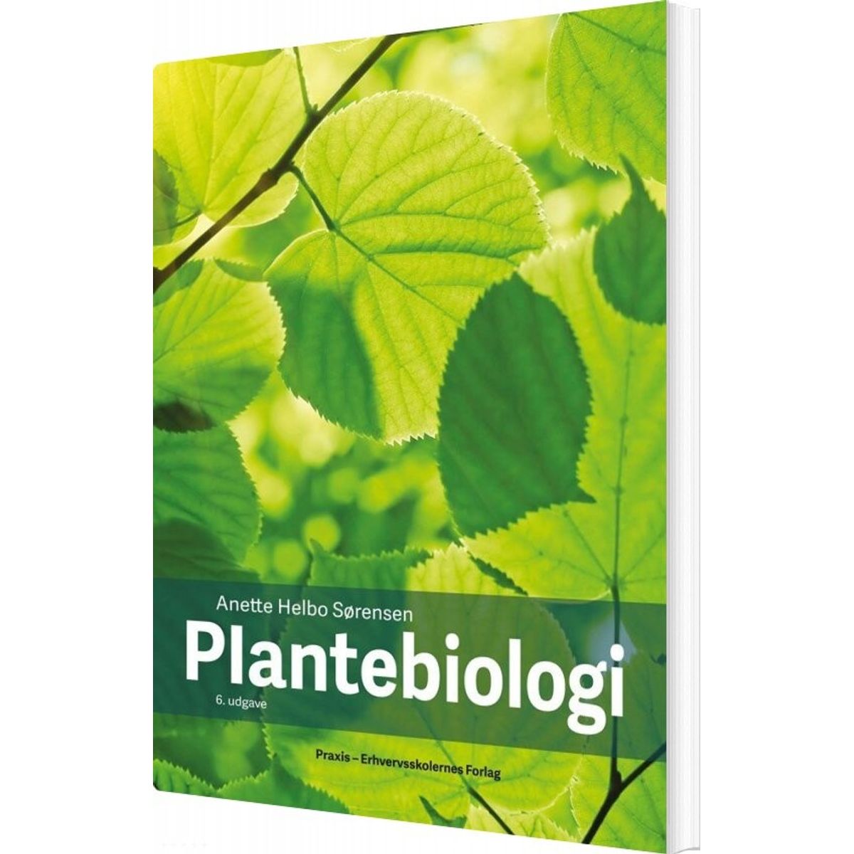 Plantebiologi - Anette Helbo Sørensen - Bog