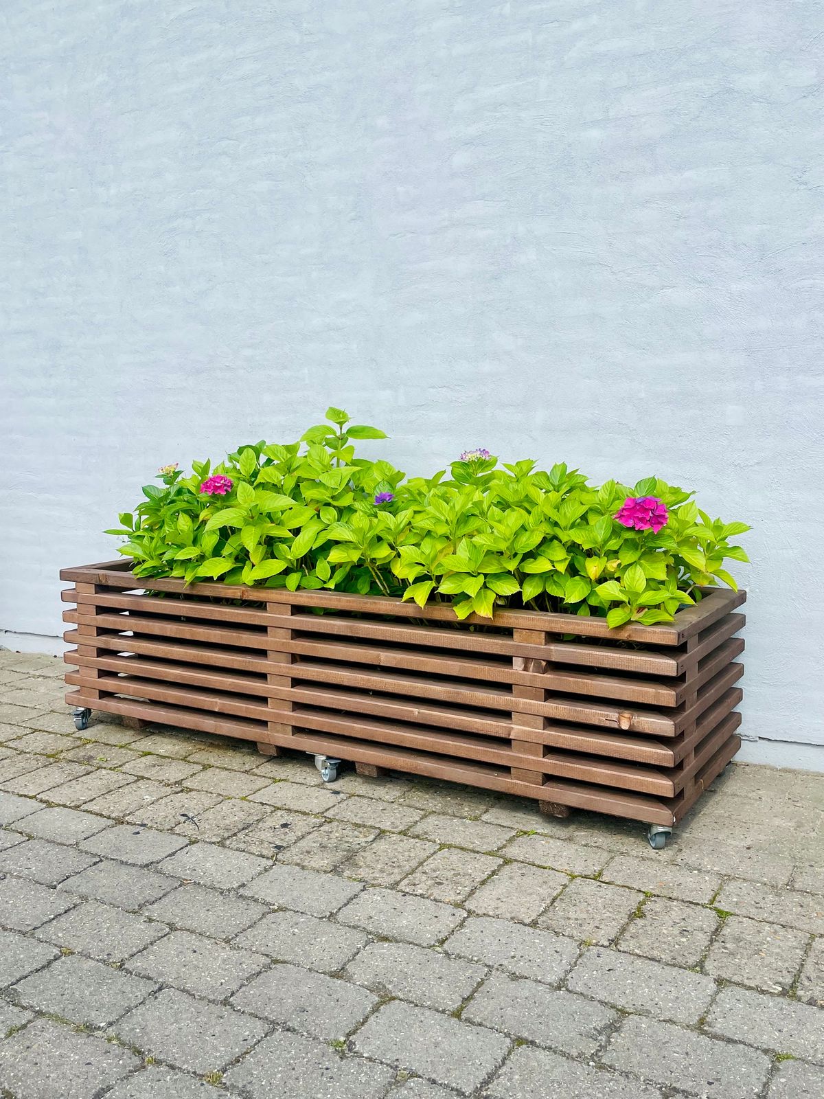 Plantekasse af Traller | Brunbejdset | 170 cm / 43 cm (7 Lægter)